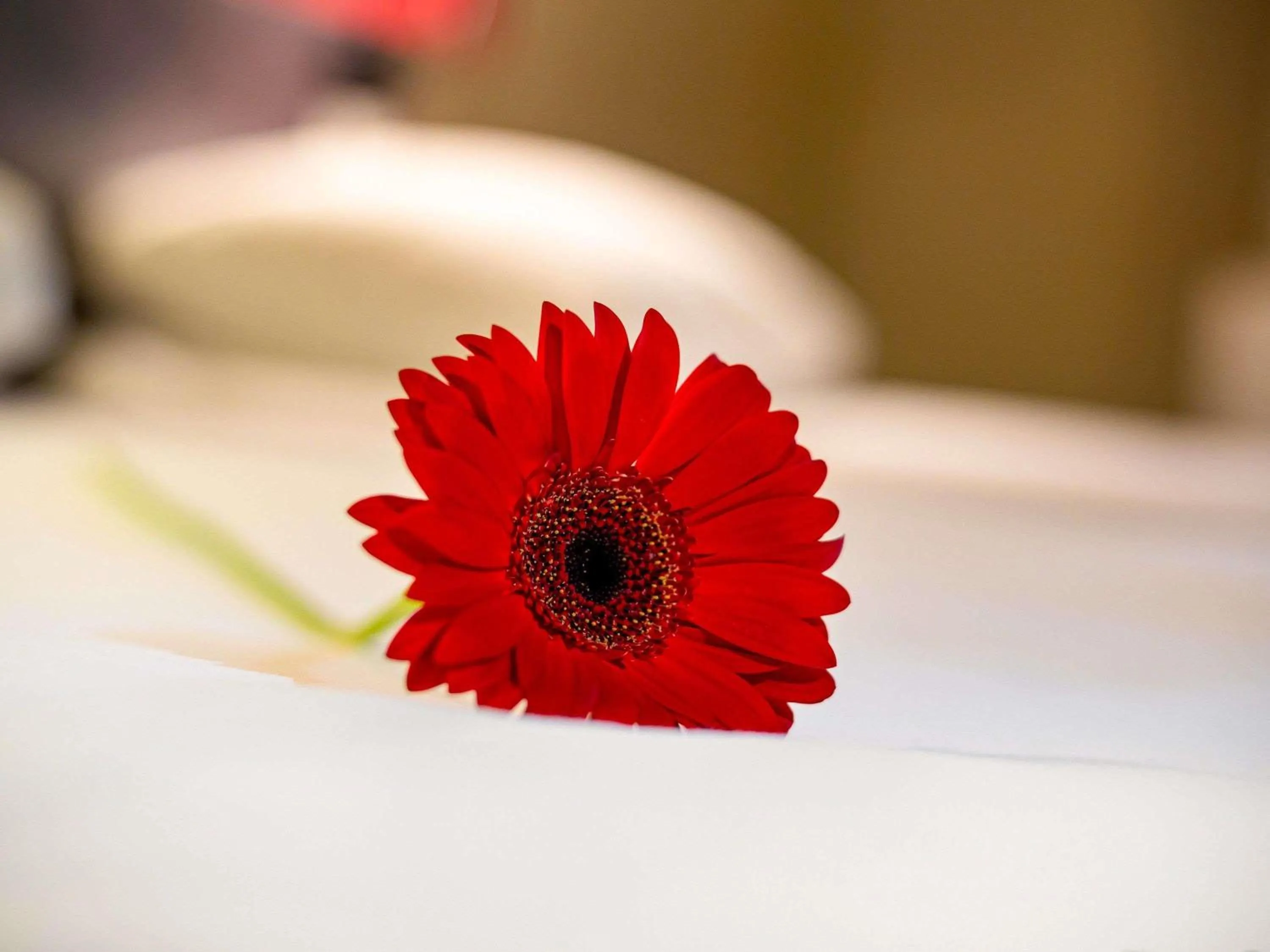 Bedroom, Bed in Ibis Irun