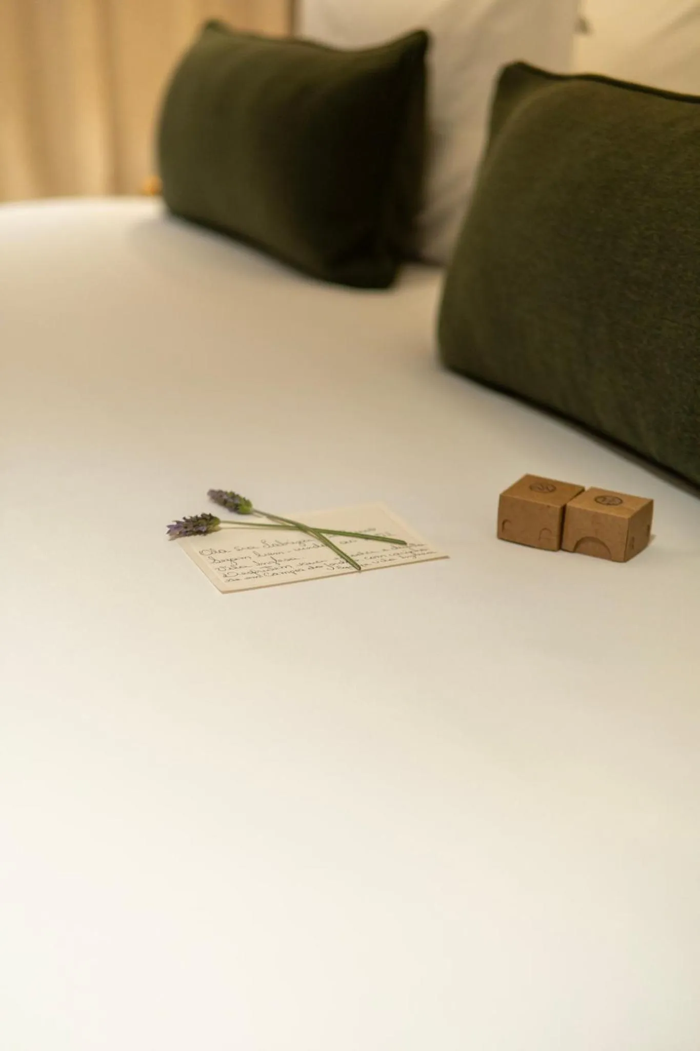 Bed in Hotel Vila Inglesa