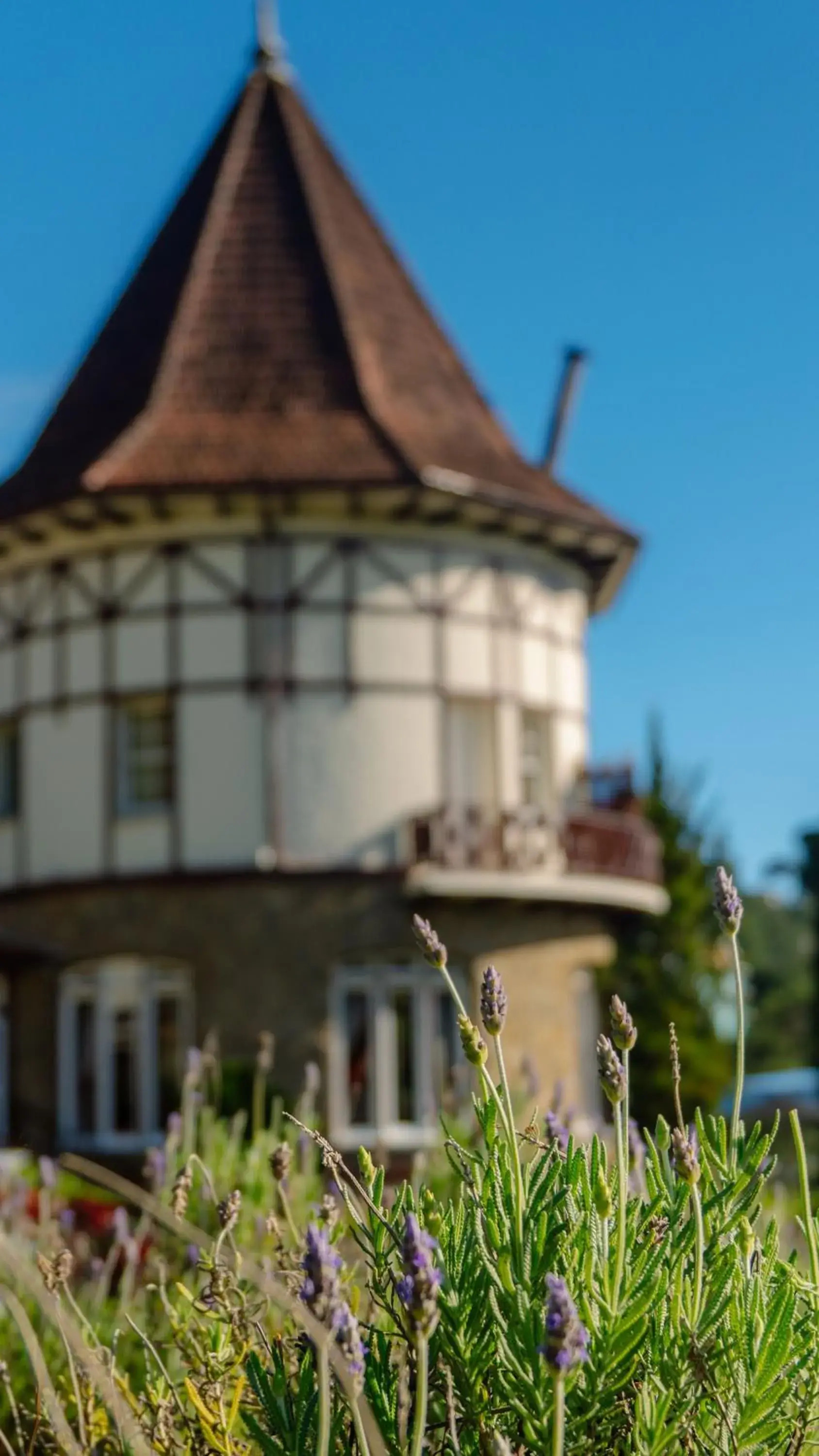 Property building in Hotel Vila Inglesa Property building in Hotel Vila Inglesa