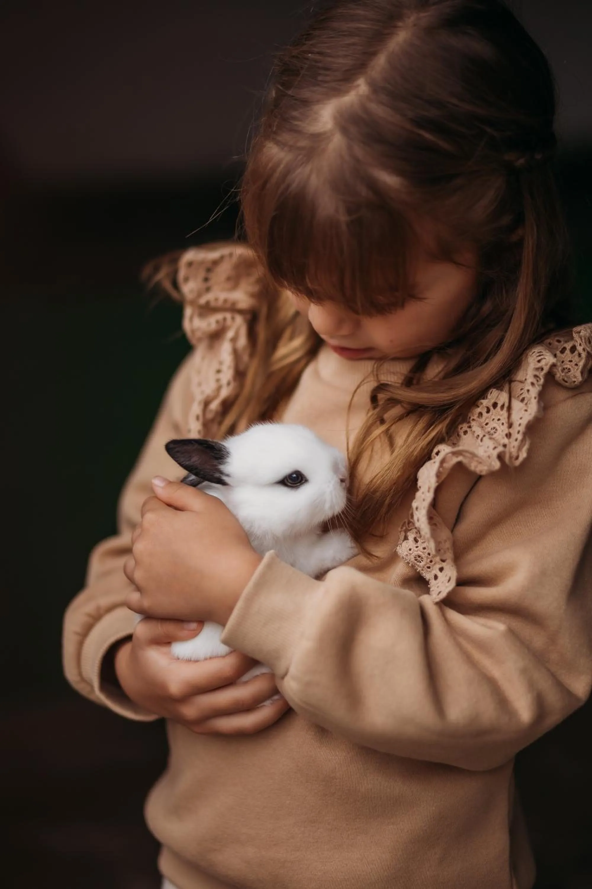 Animals in Hotel Vila Inglesa