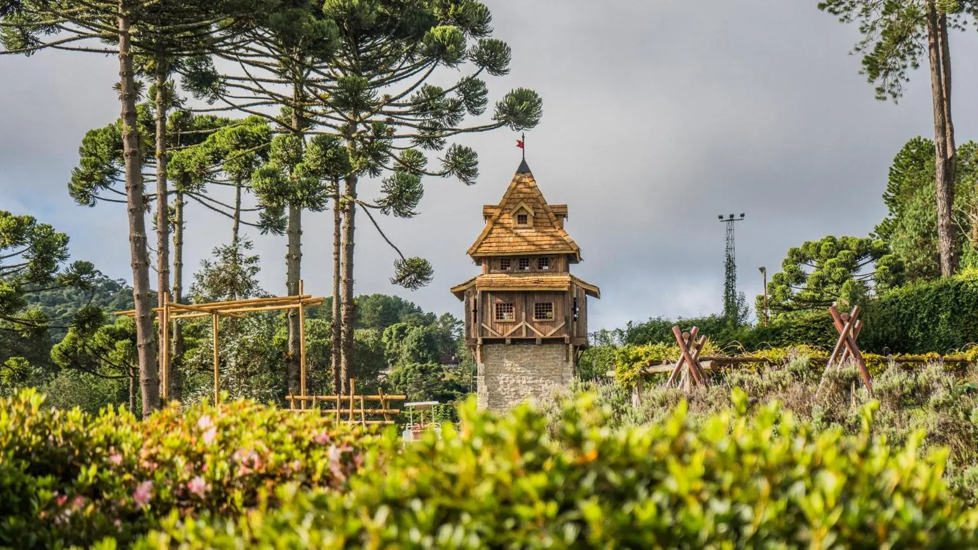 Garden view in Hotel Vila Inglesa Garden view in Hotel Vila Inglesa