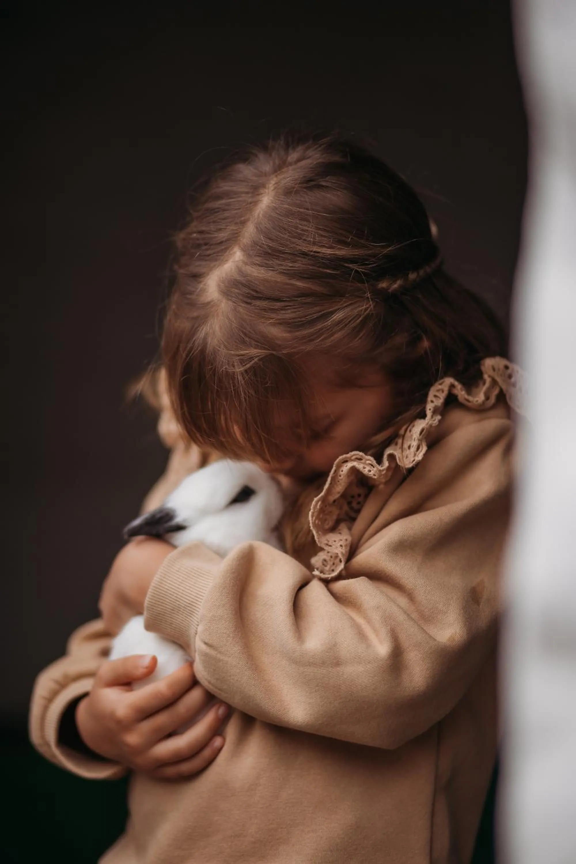 Animals in Hotel Vila Inglesa