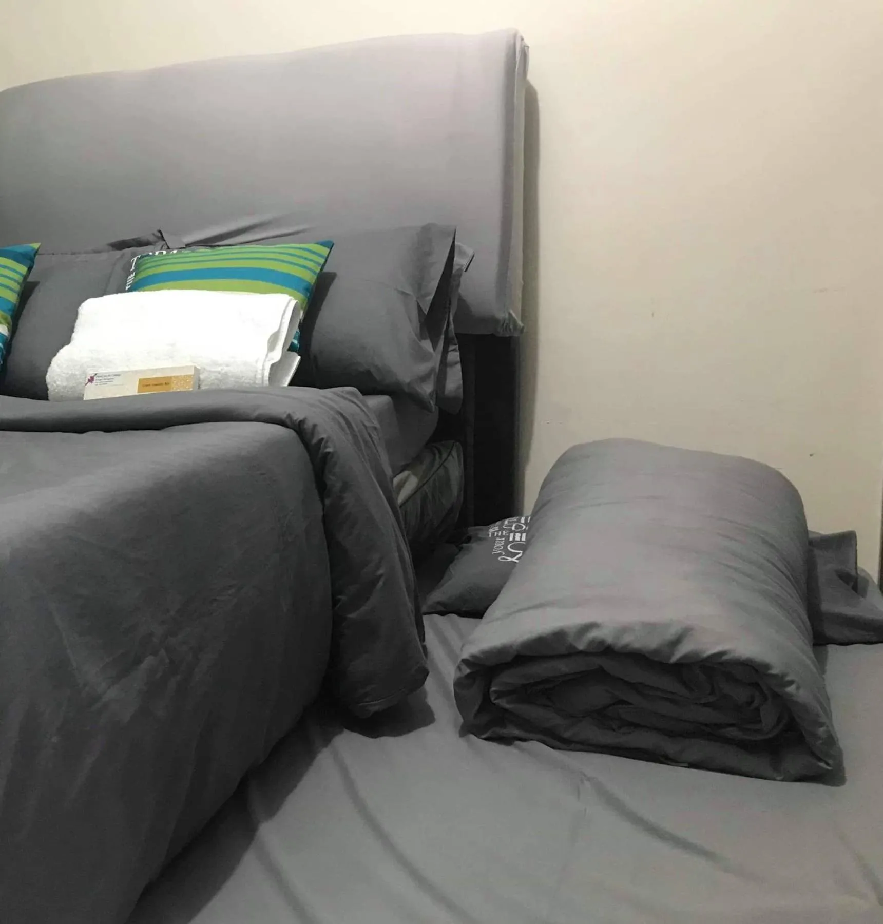 AED Manila Bay view at Green Residences