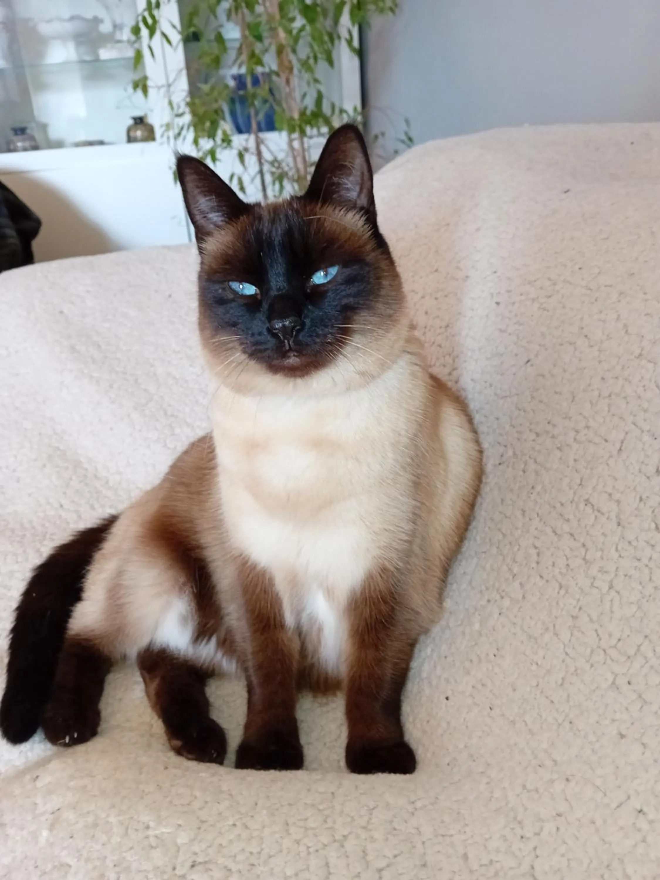 Ode au Bonheur St Georges sur Cher