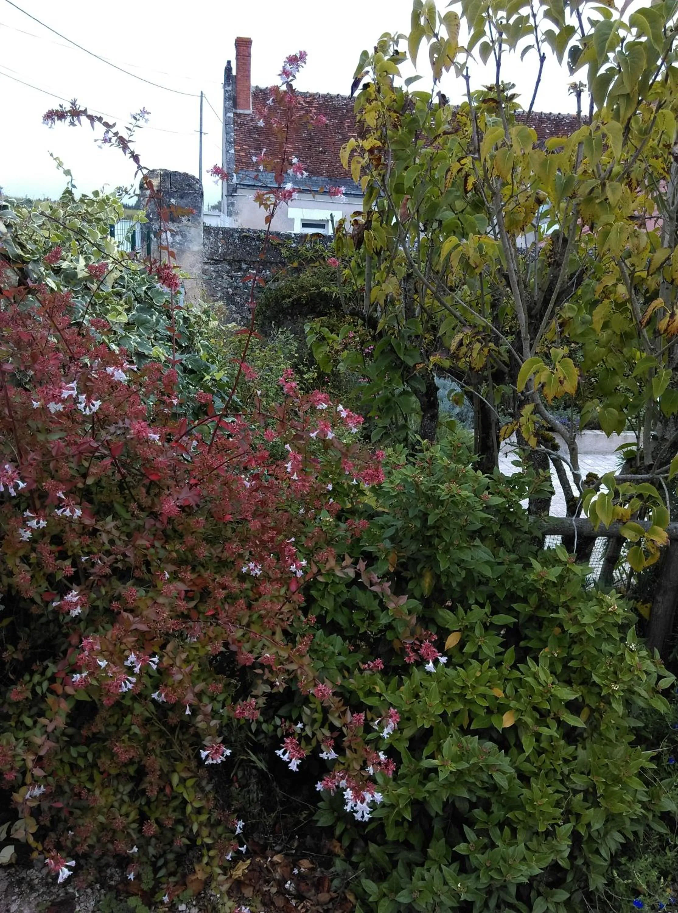 Garden in Ode au Bonheur St Georges sur Cher