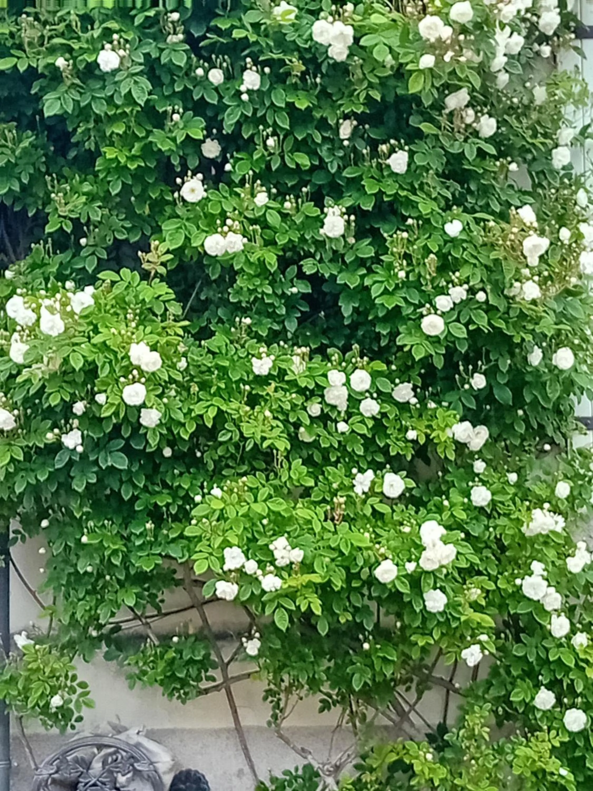 Garden in Ode au Bonheur St Georges sur Cher