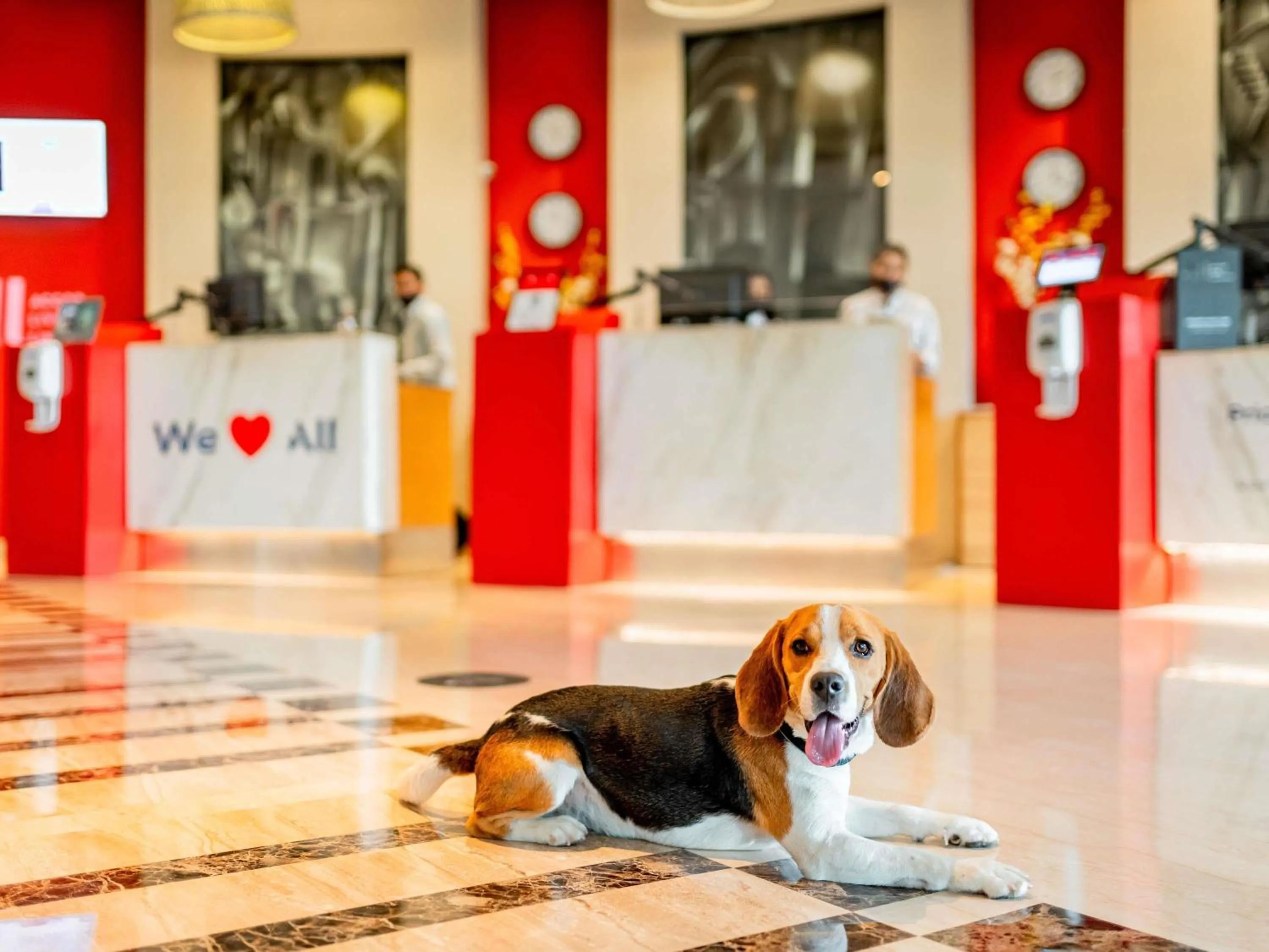 Other in Ibis Madrid Aeropuerto Barajas