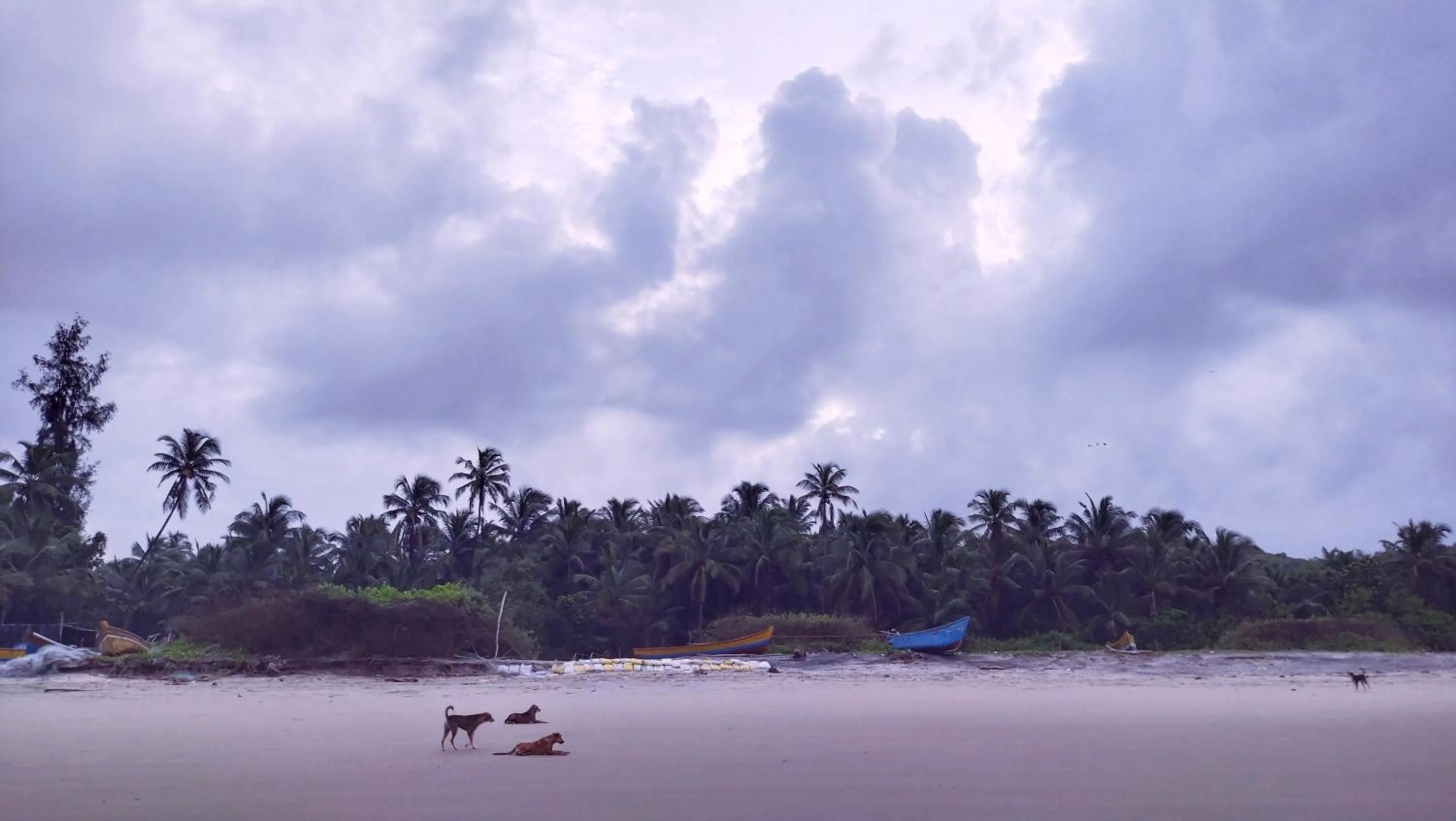 Beach in Samant Beach Resort