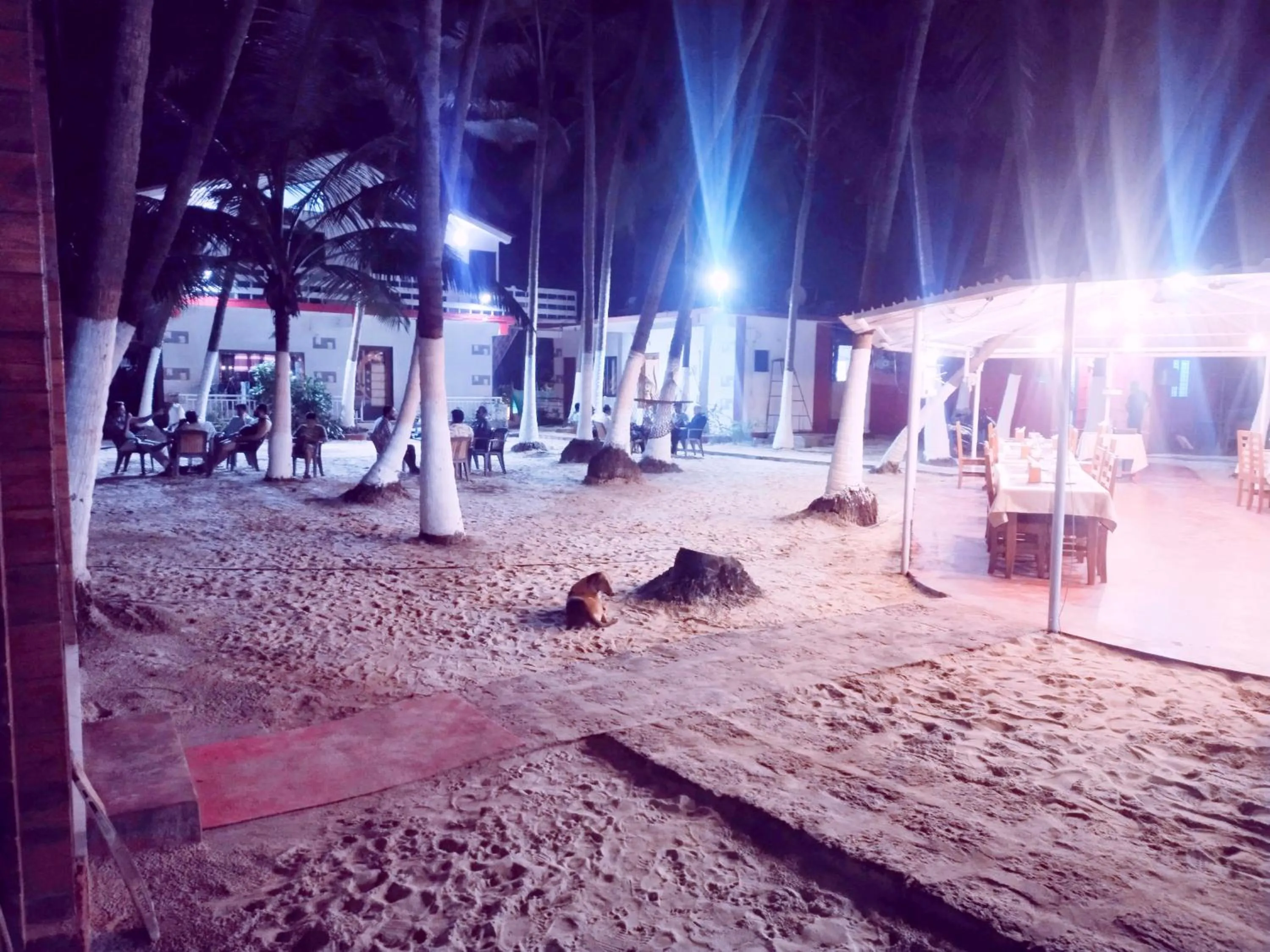 Night in Samant Beach Resort
