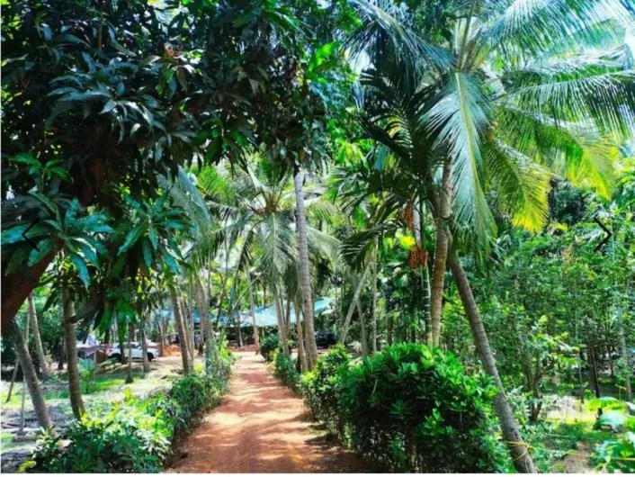 Garden in Samant Beach Resort