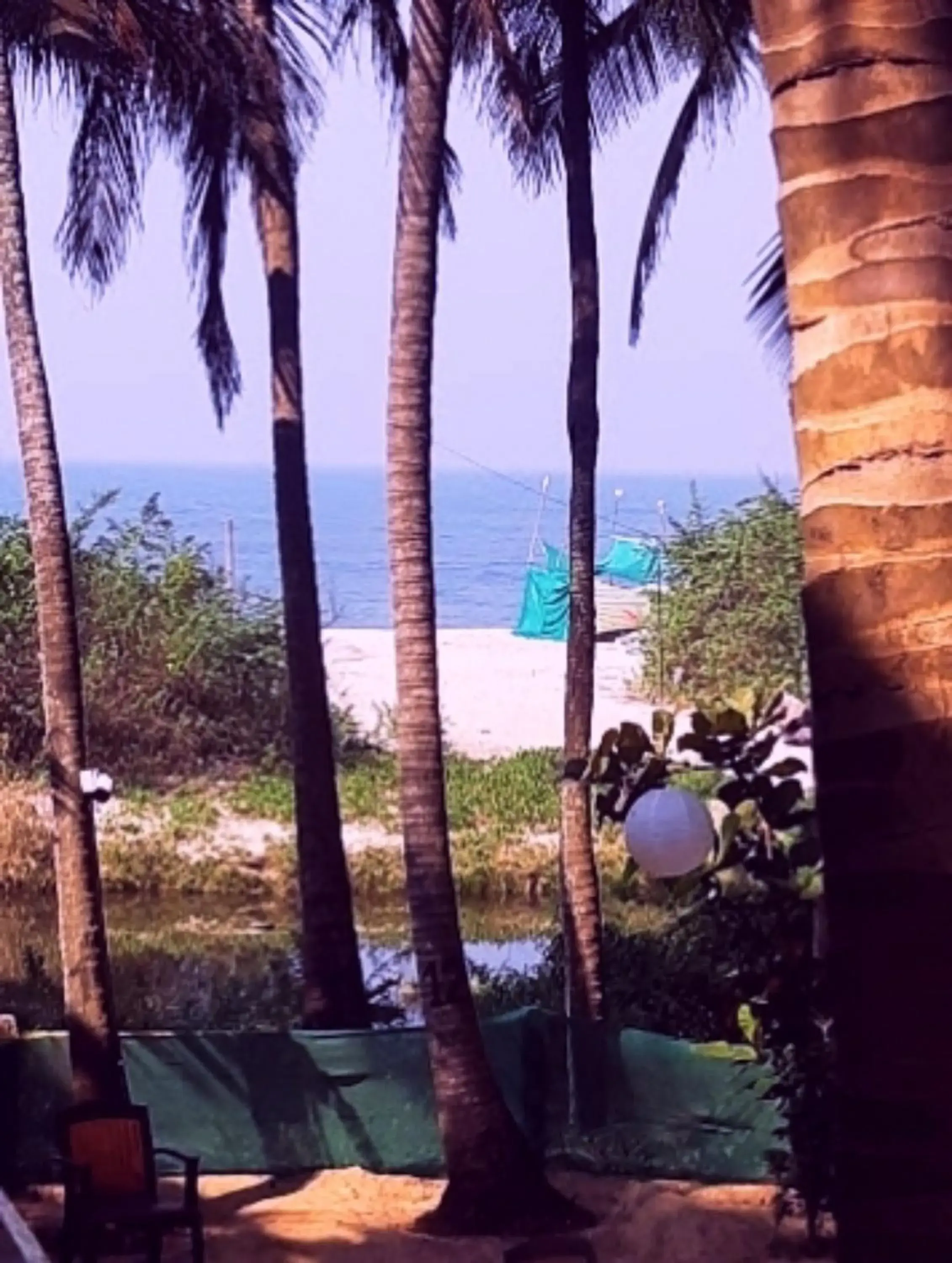 Facade/entrance in Samant Beach Resort Facade/entrance in Samant Beach Resort