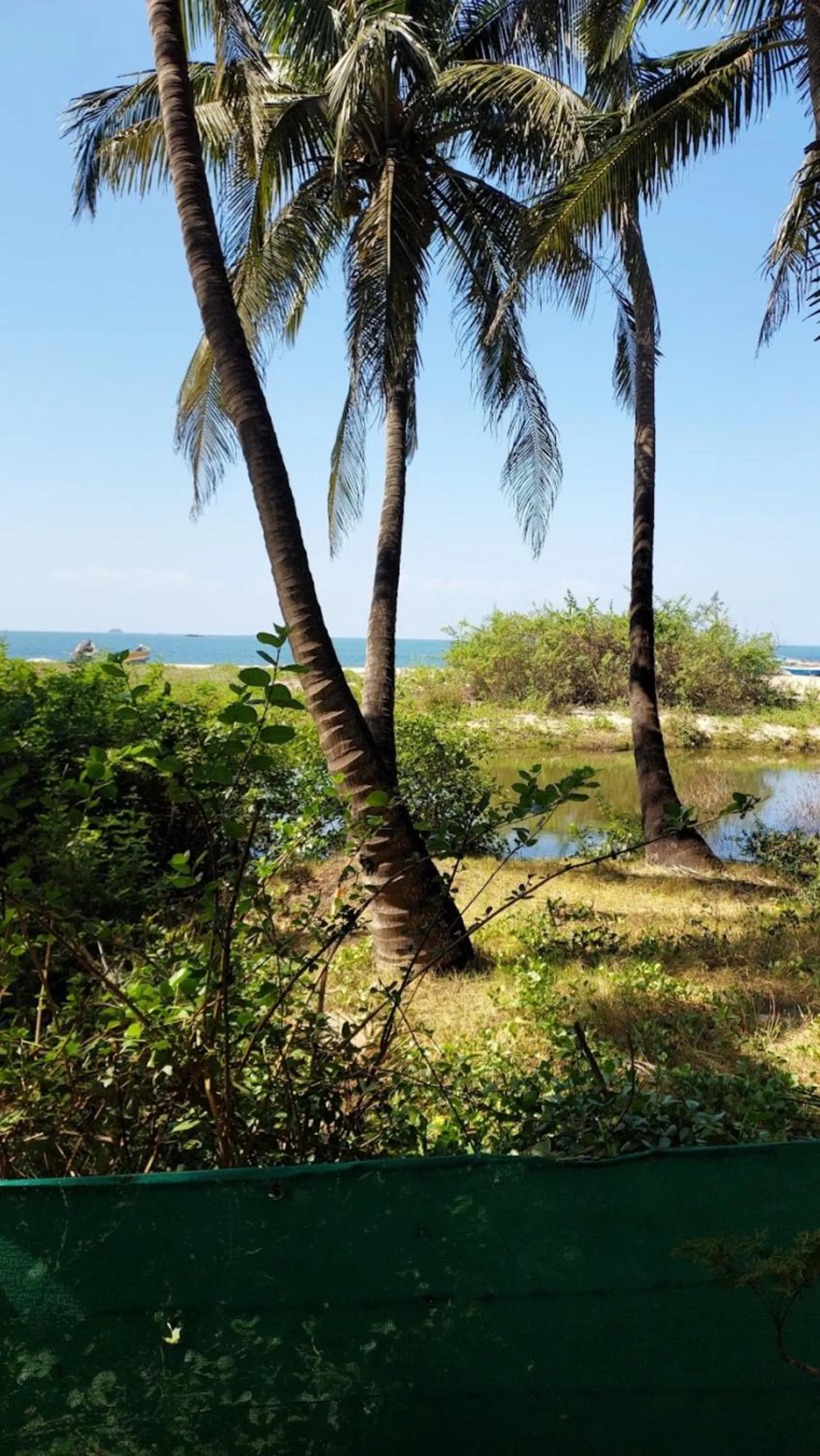 Sea view in Samant Beach Resort