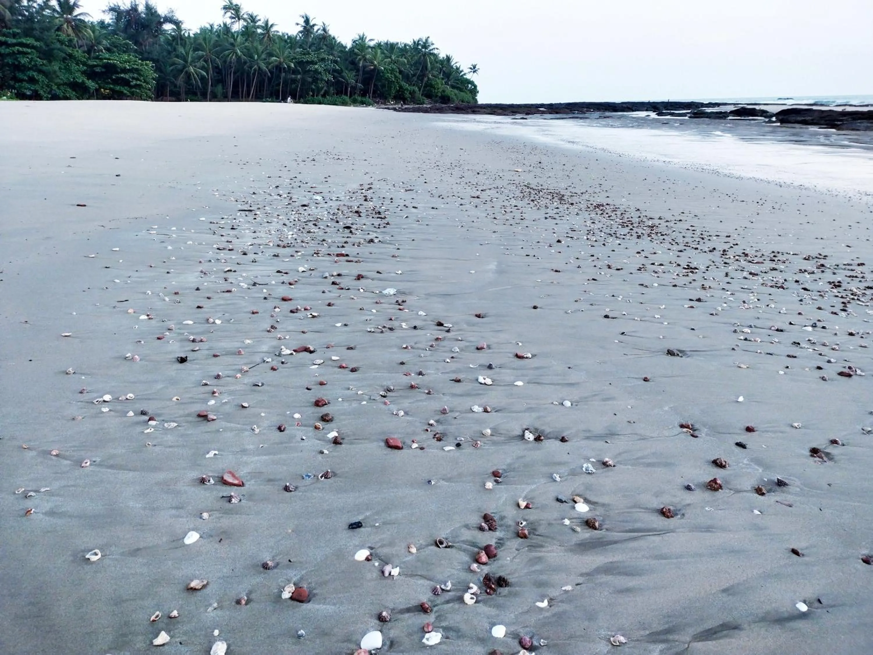 Day in Samant Beach Resort