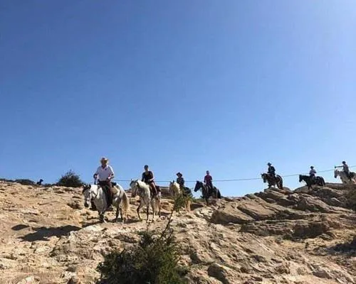 Happy Bedouin House Petra