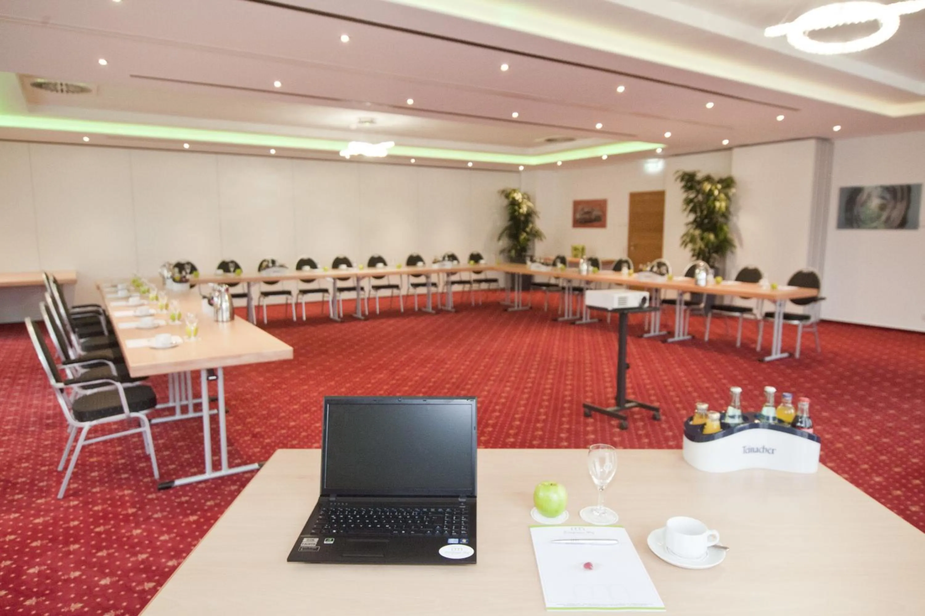 Meeting/conference room in Edelfinger Hof