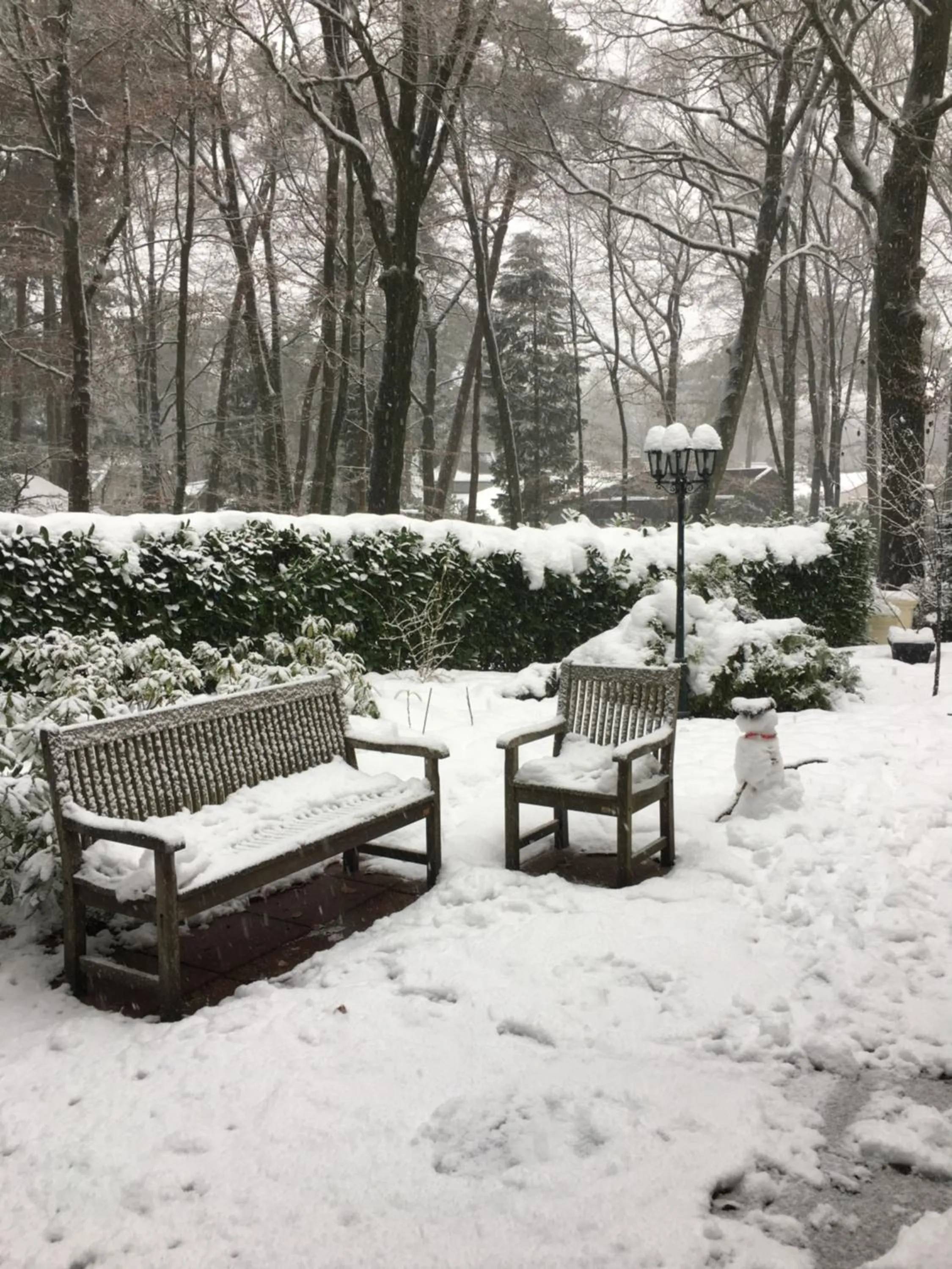 Garden in In de aap gelogeerd