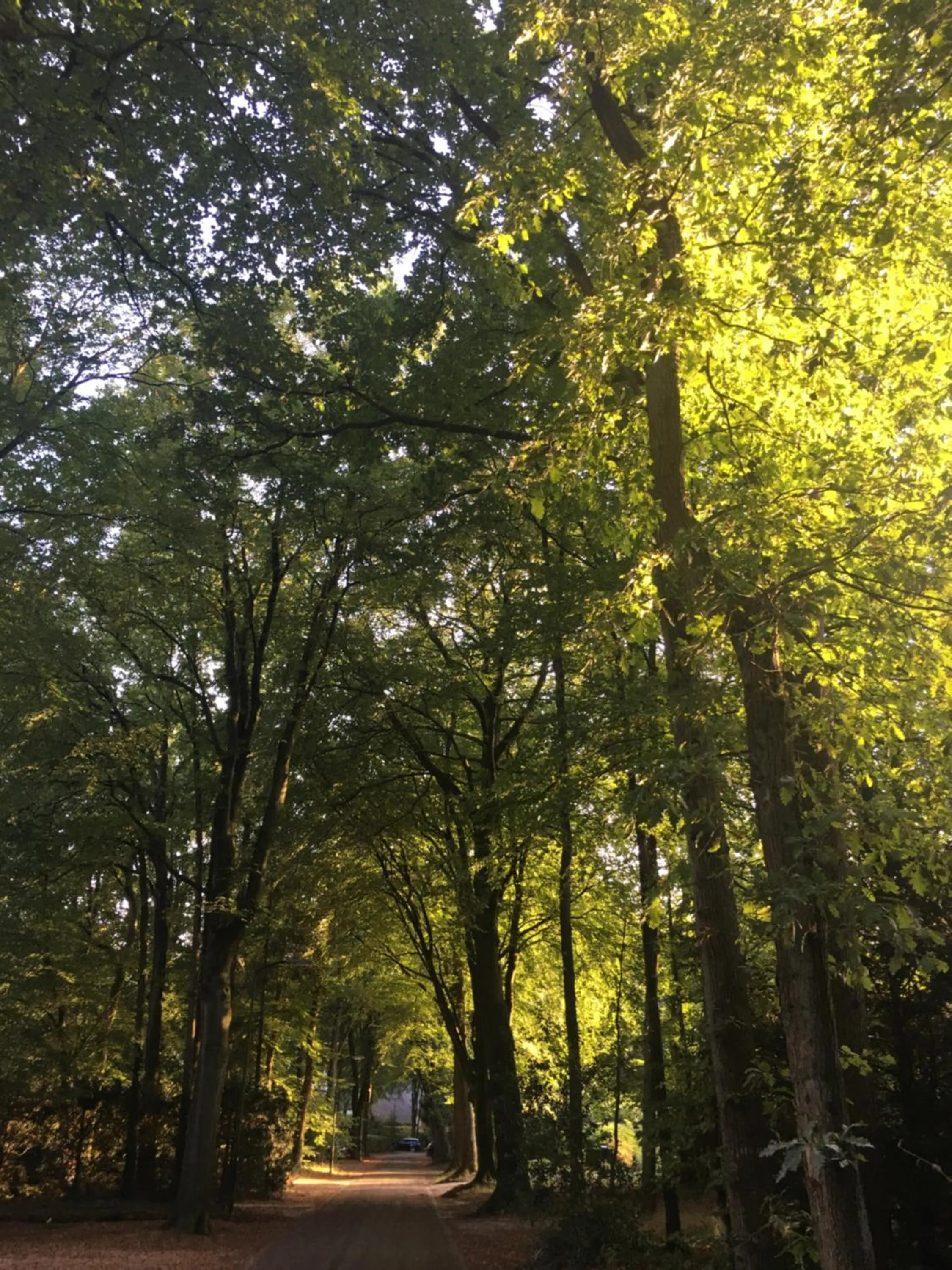 Garden in In de aap gelogeerd