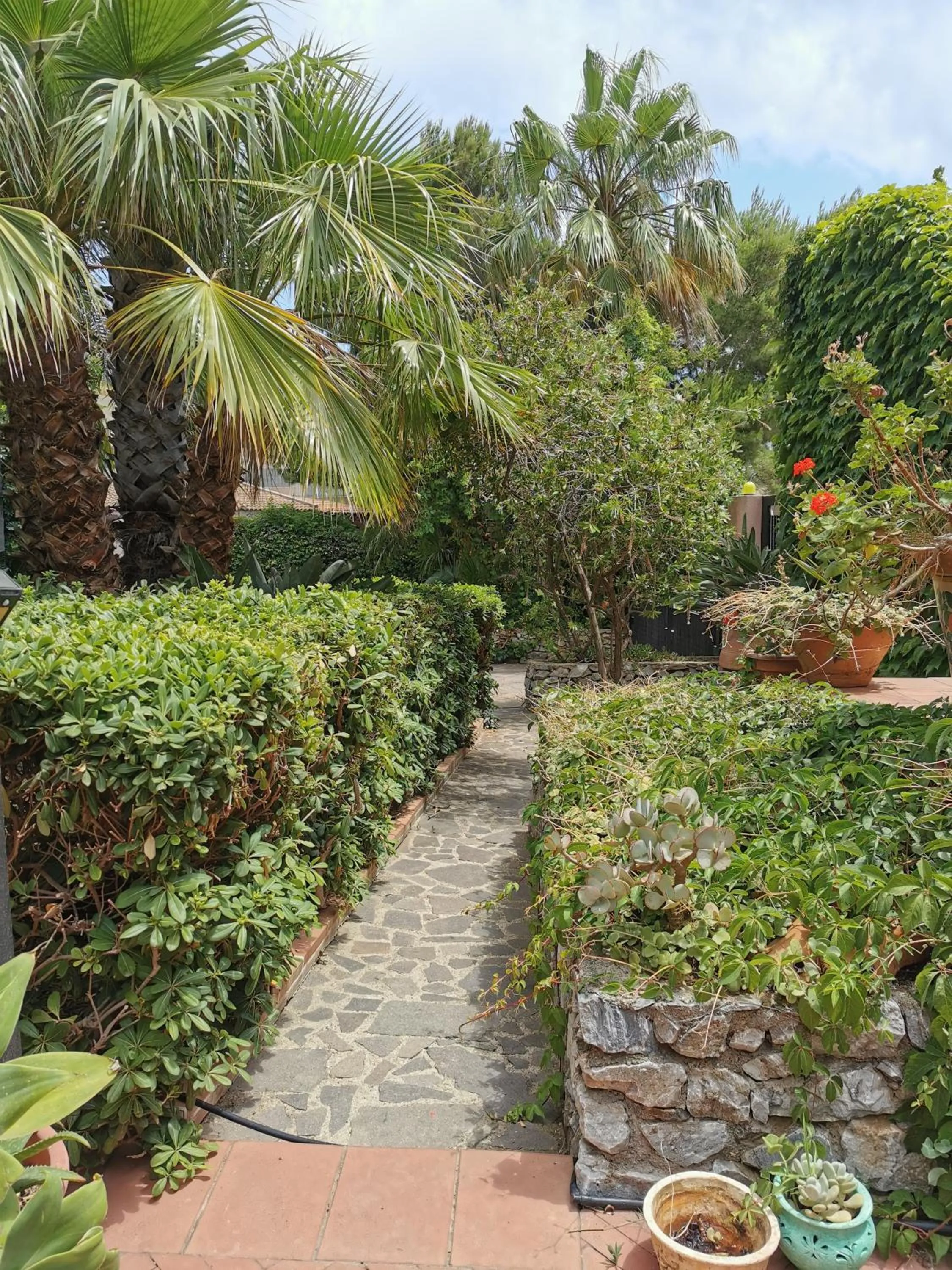 Garden in Villa Grande