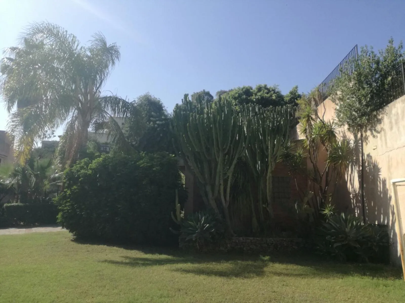 Garden in Villa Grande