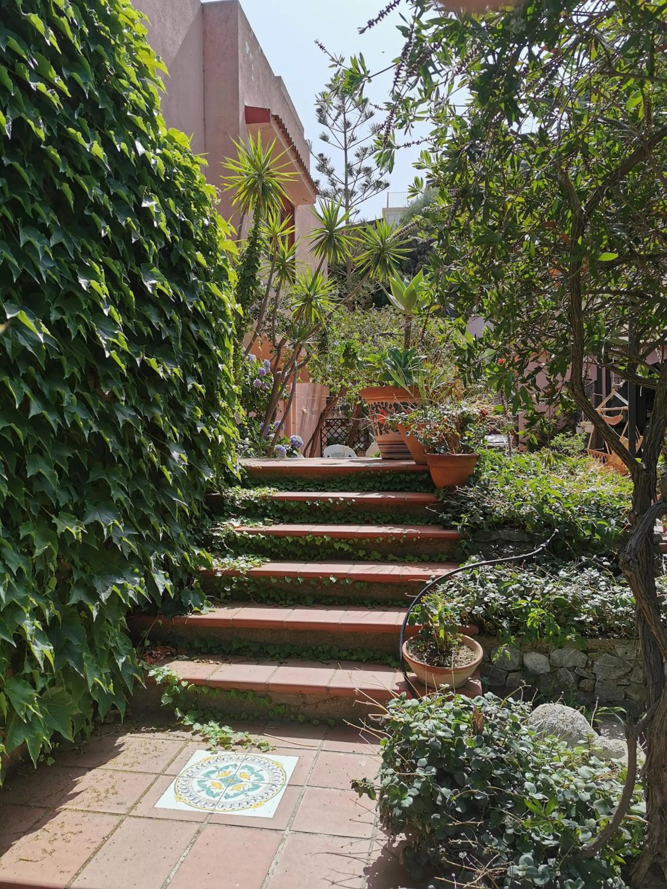 Garden in Villa Grande