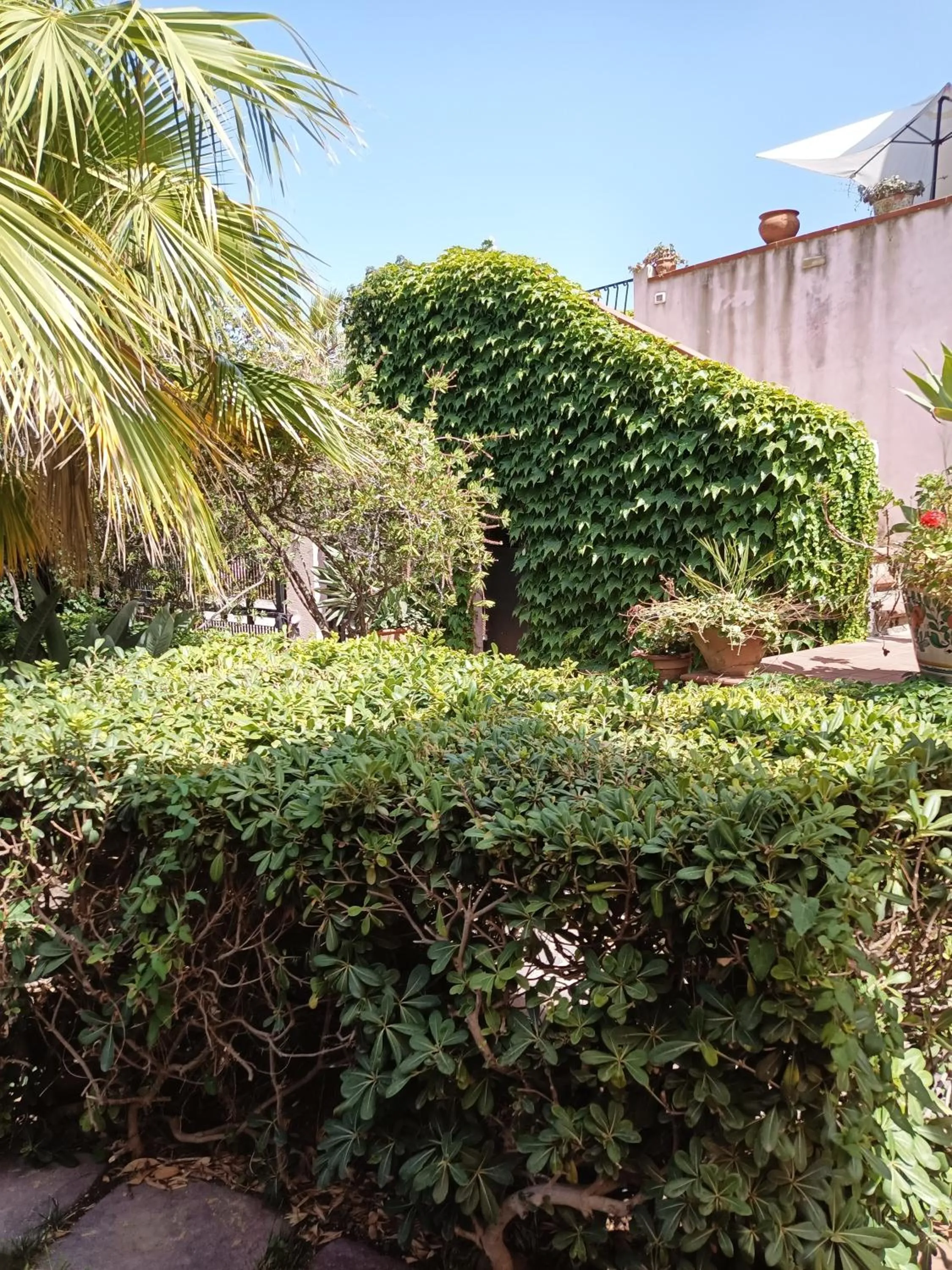 Garden in Villa Grande