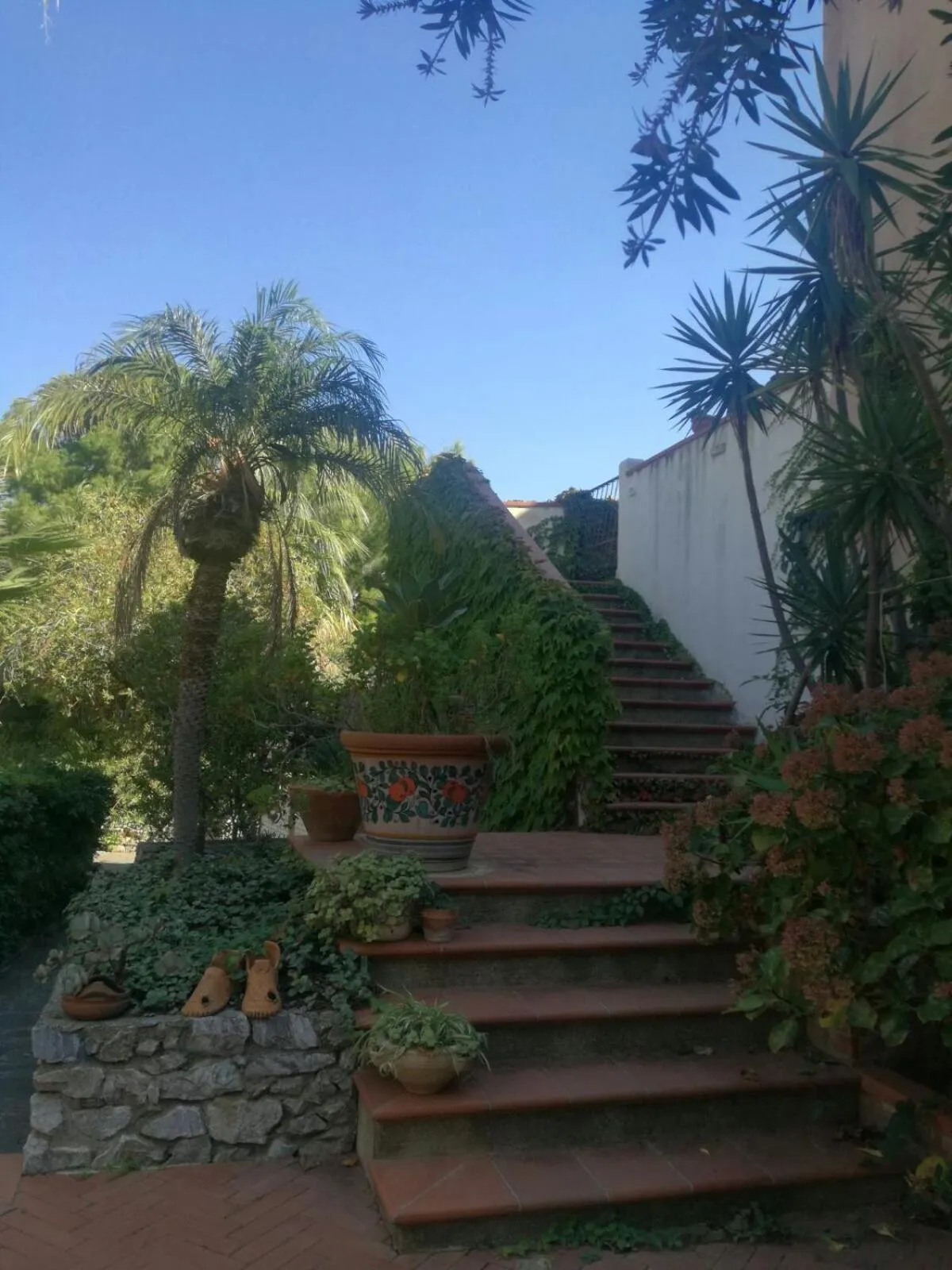 Garden in Villa Grande