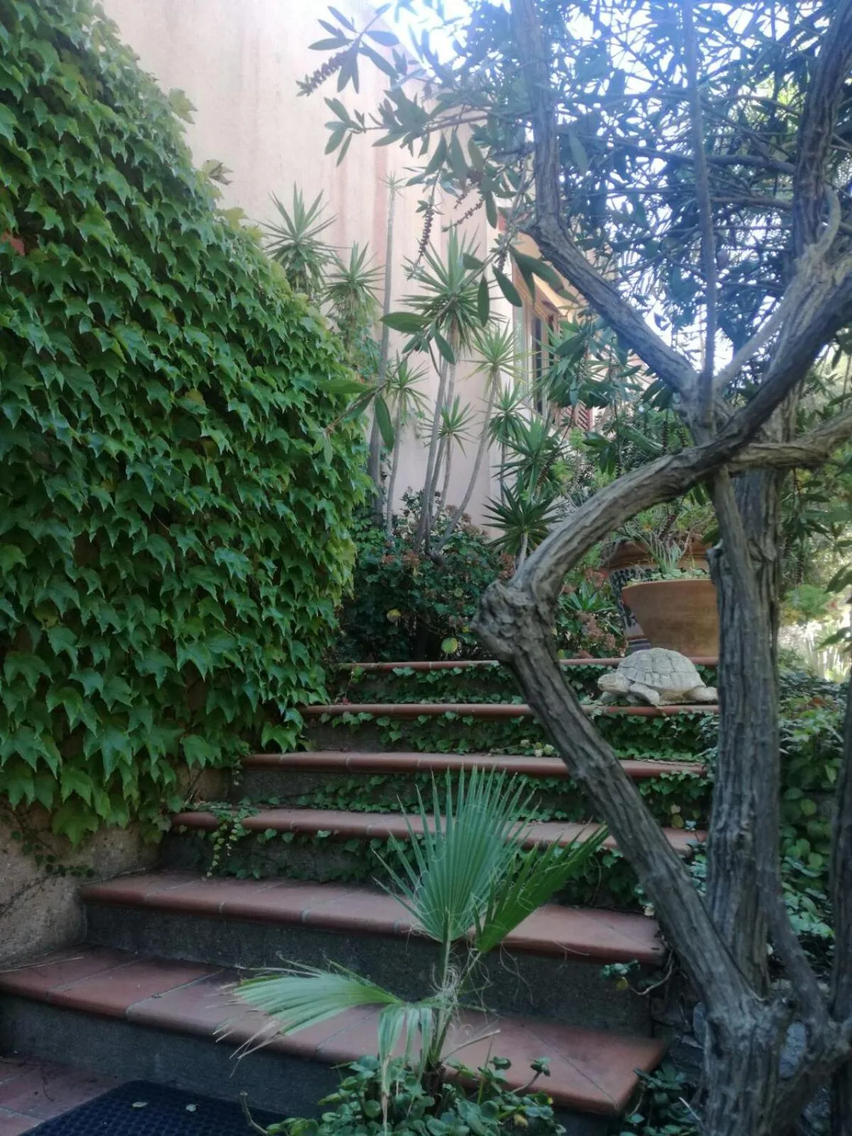 Garden in Villa Grande