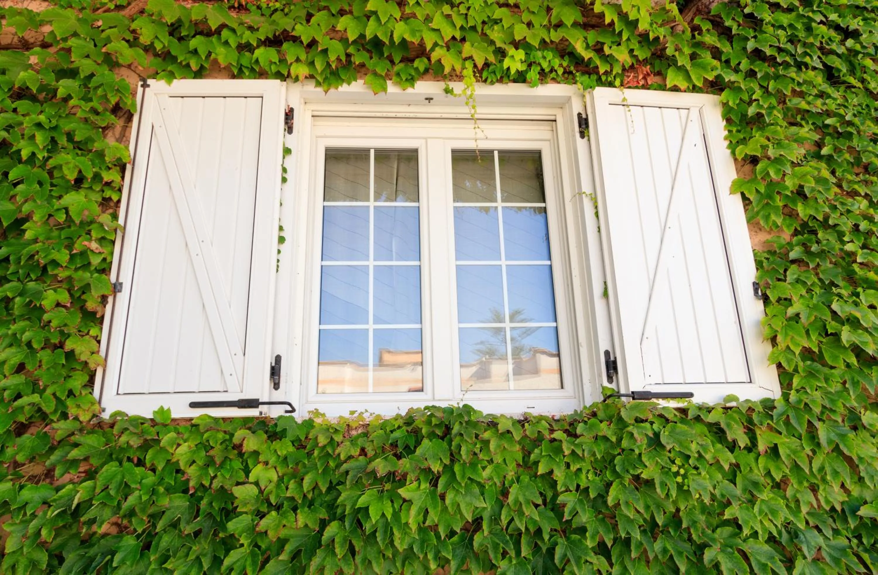 Property building in HB Le suites del Giardino