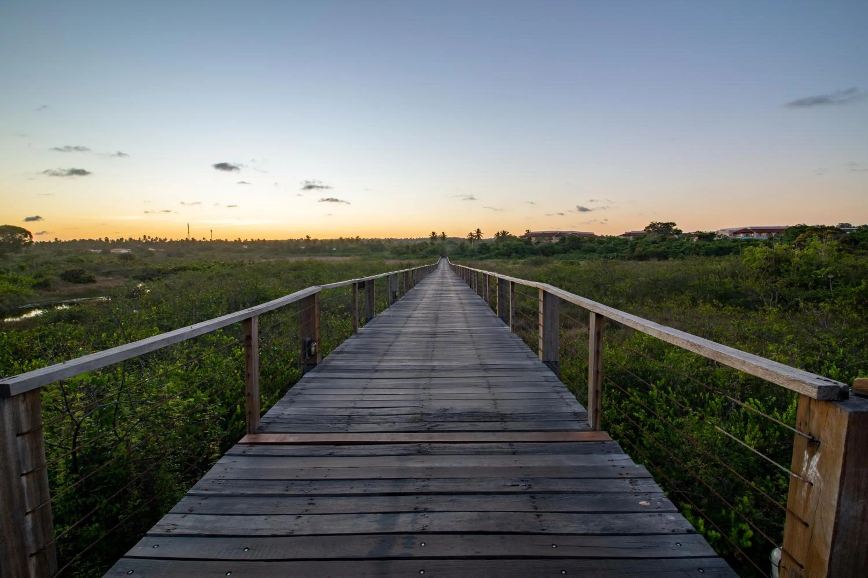 Natural landscape in Grand Palladium Imbassaí Resort & Spa - All Inclusive