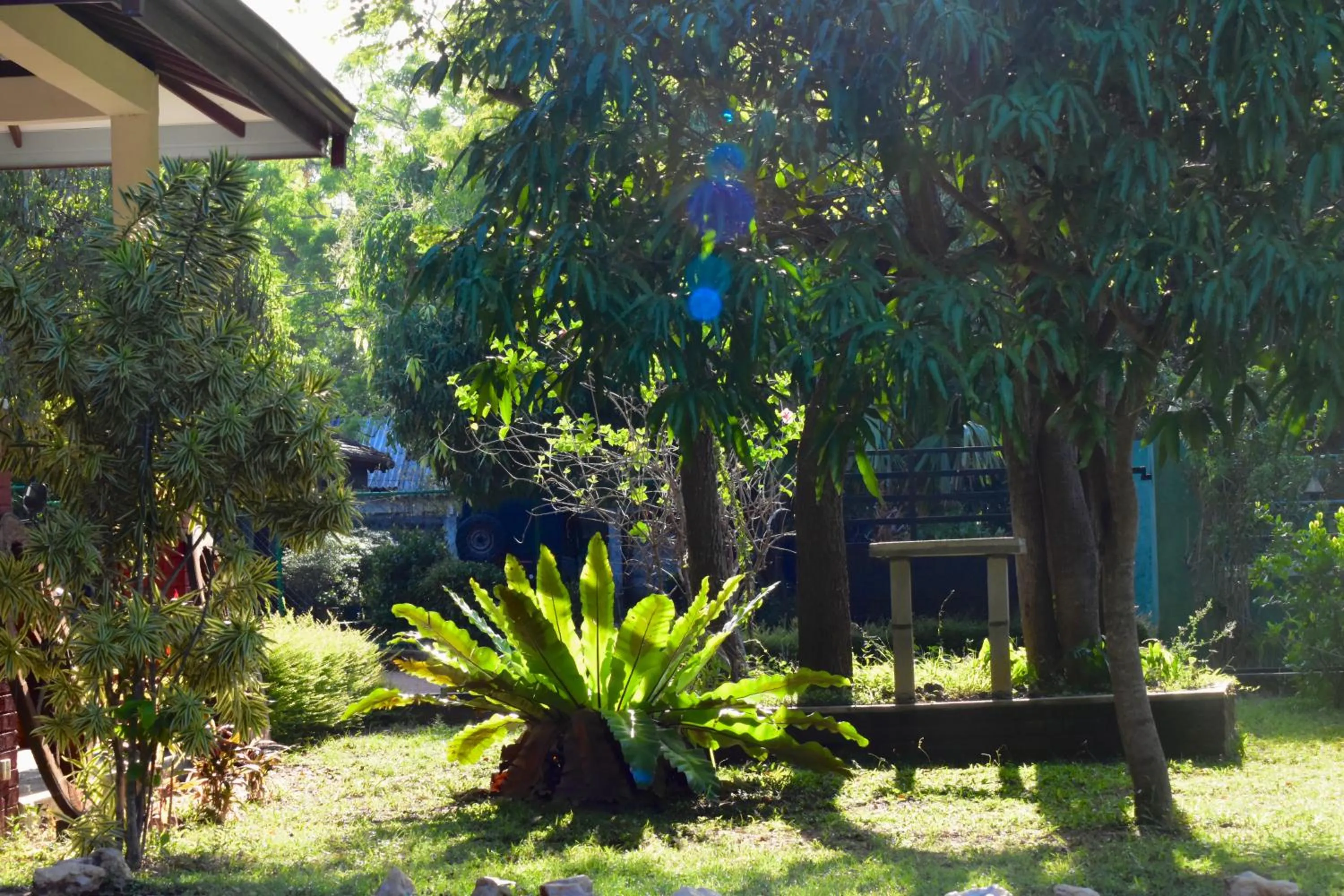 Natural landscape in Green Hut Nature Resort