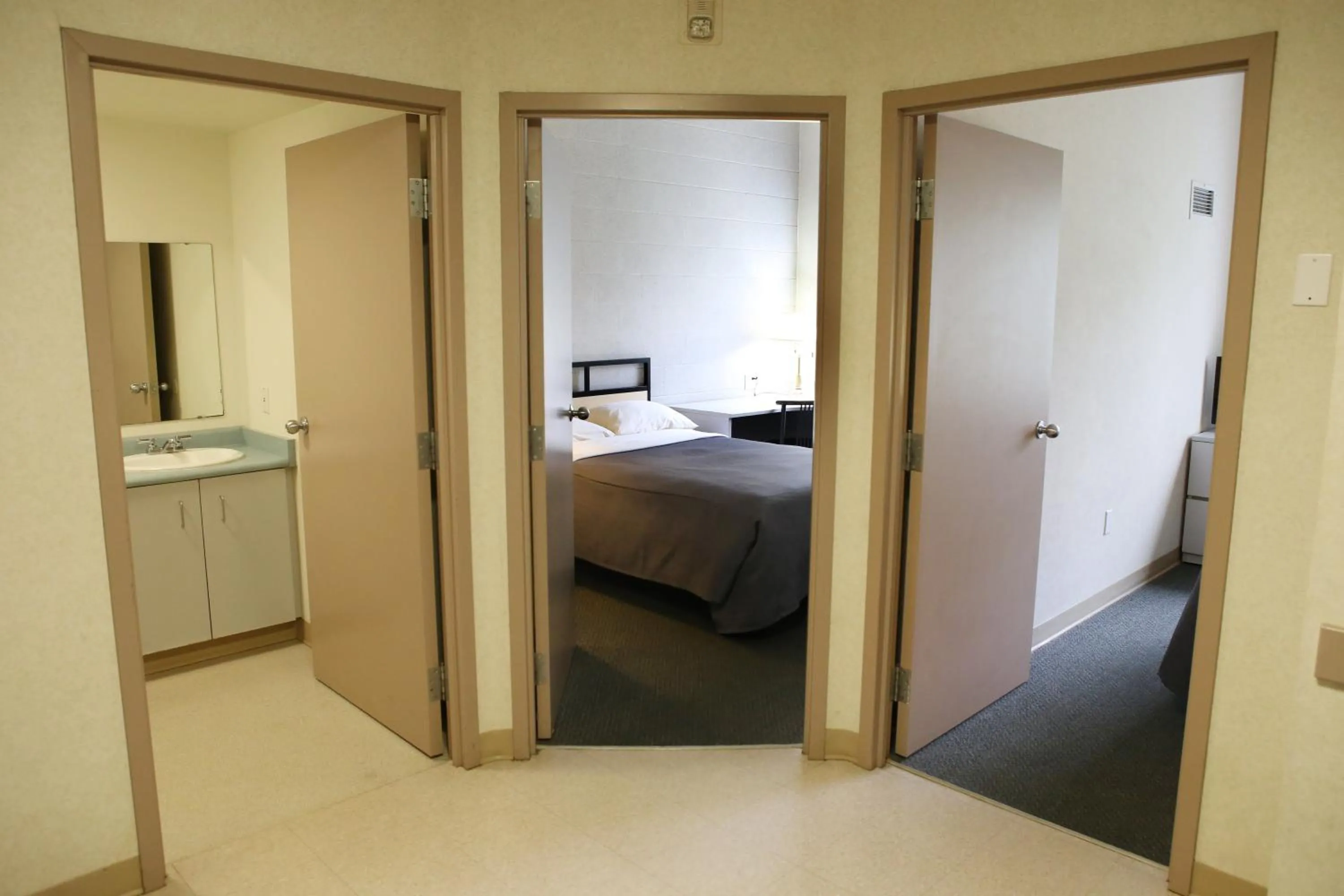 Kitchen or kitchenette, Bed in Residence & Conference Centre - Hamilton