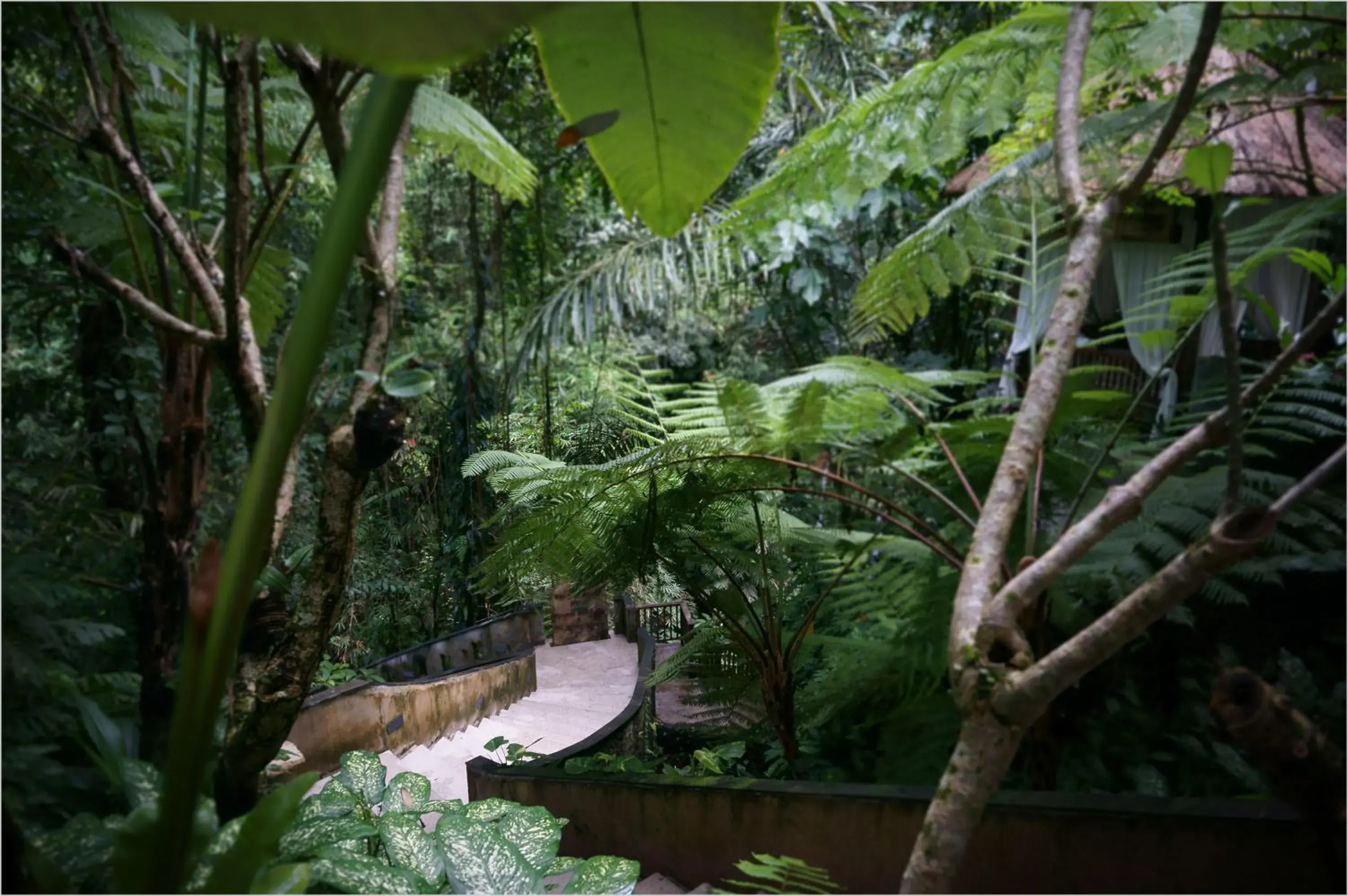 Bird's eye view in Alam Ubud Culture Villas And Residences Bird's eye view in Alam Ubud Culture Villas And Residences