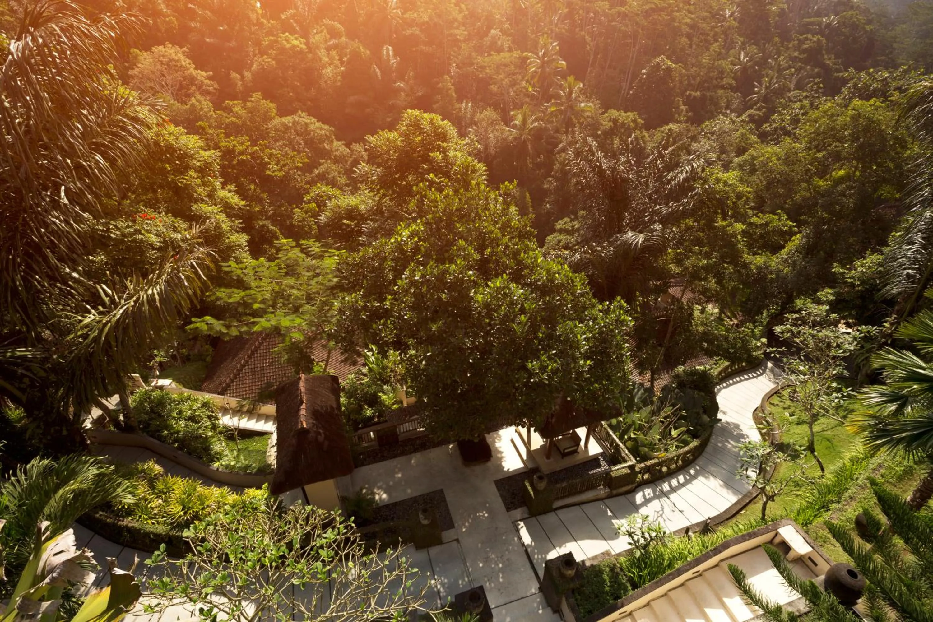 Natural landscape in Alam Ubud Culture Villas And Residences