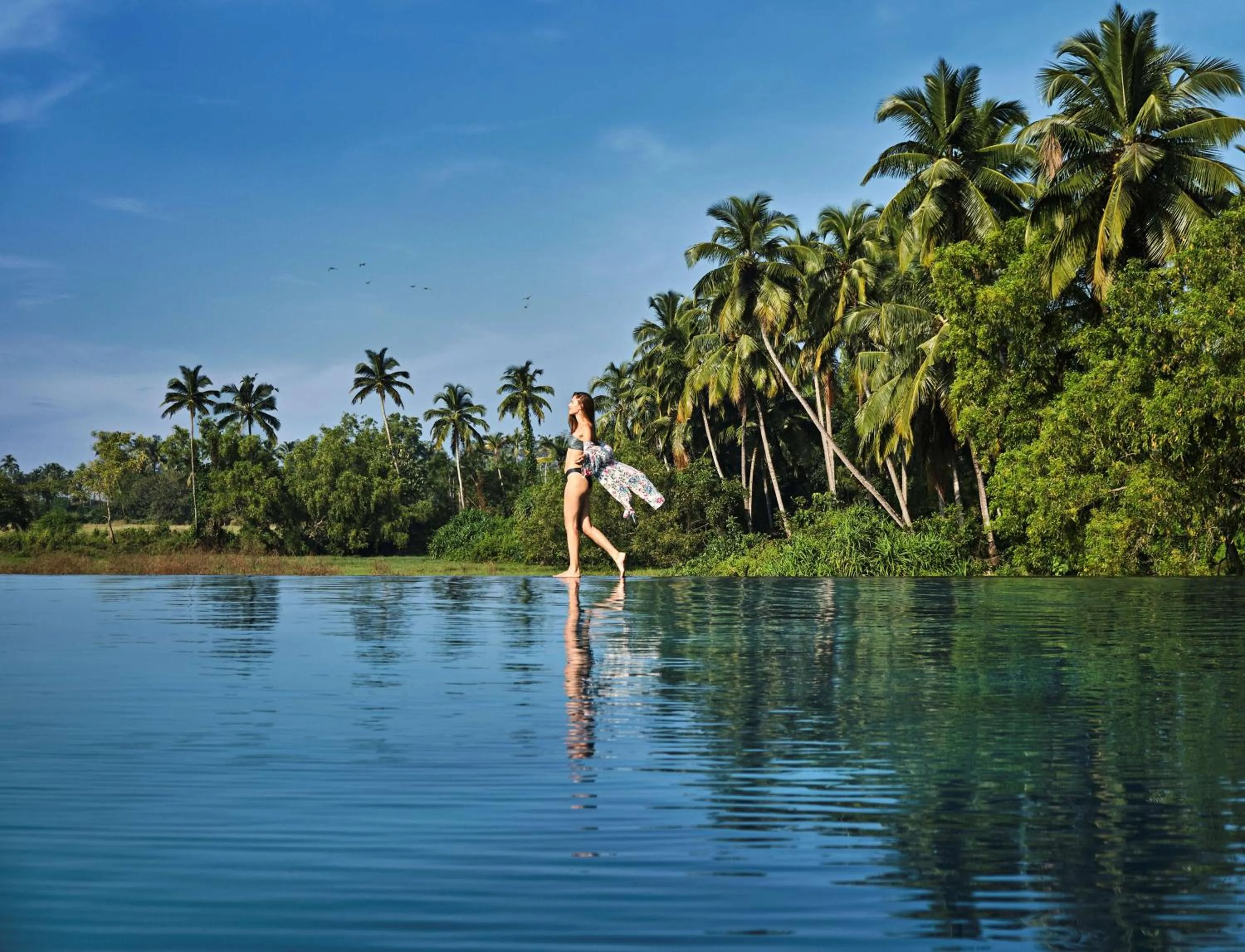 Pool view in Alila Diwa Goa - A Hyatt Brand