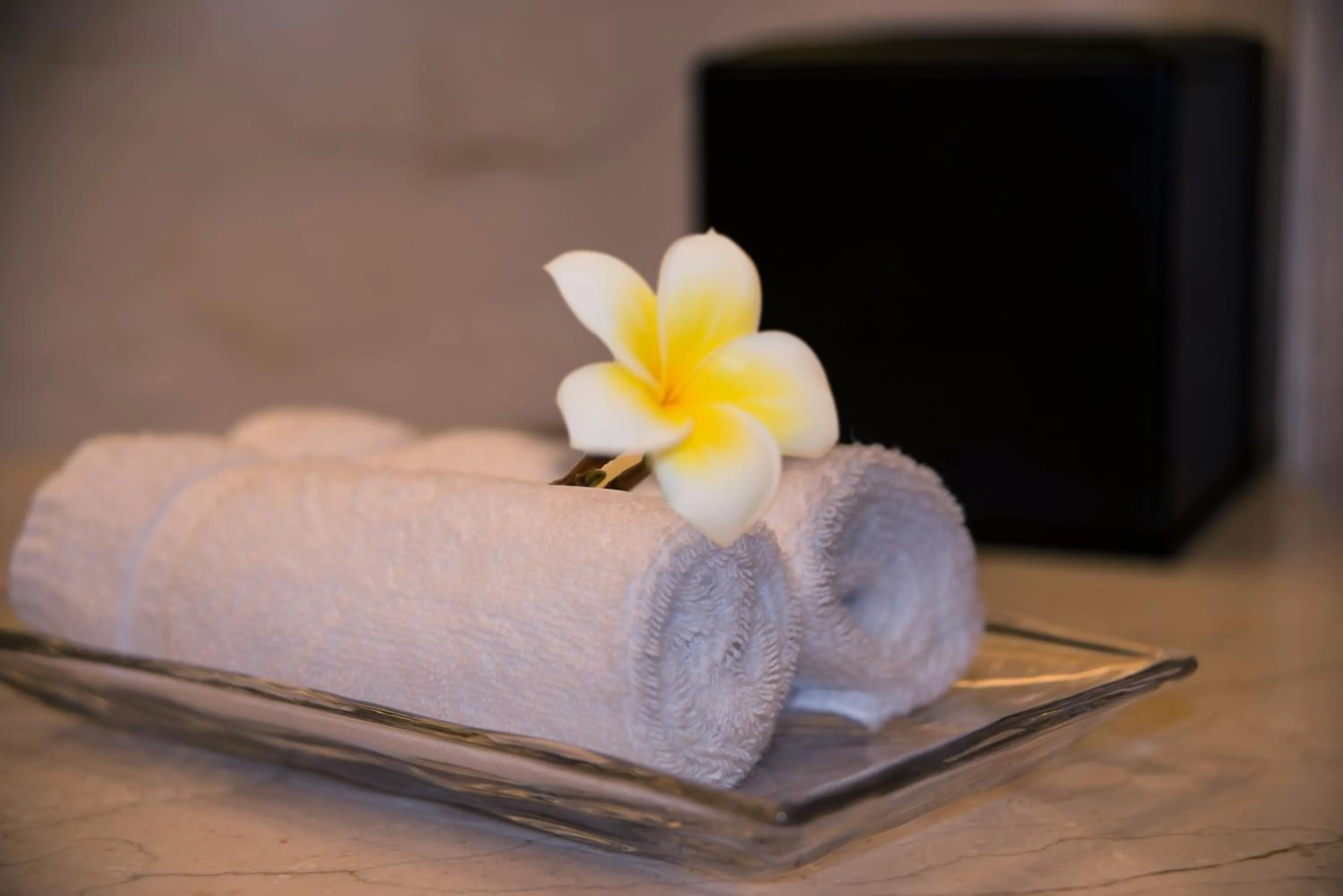 Other in Panyu Hotel