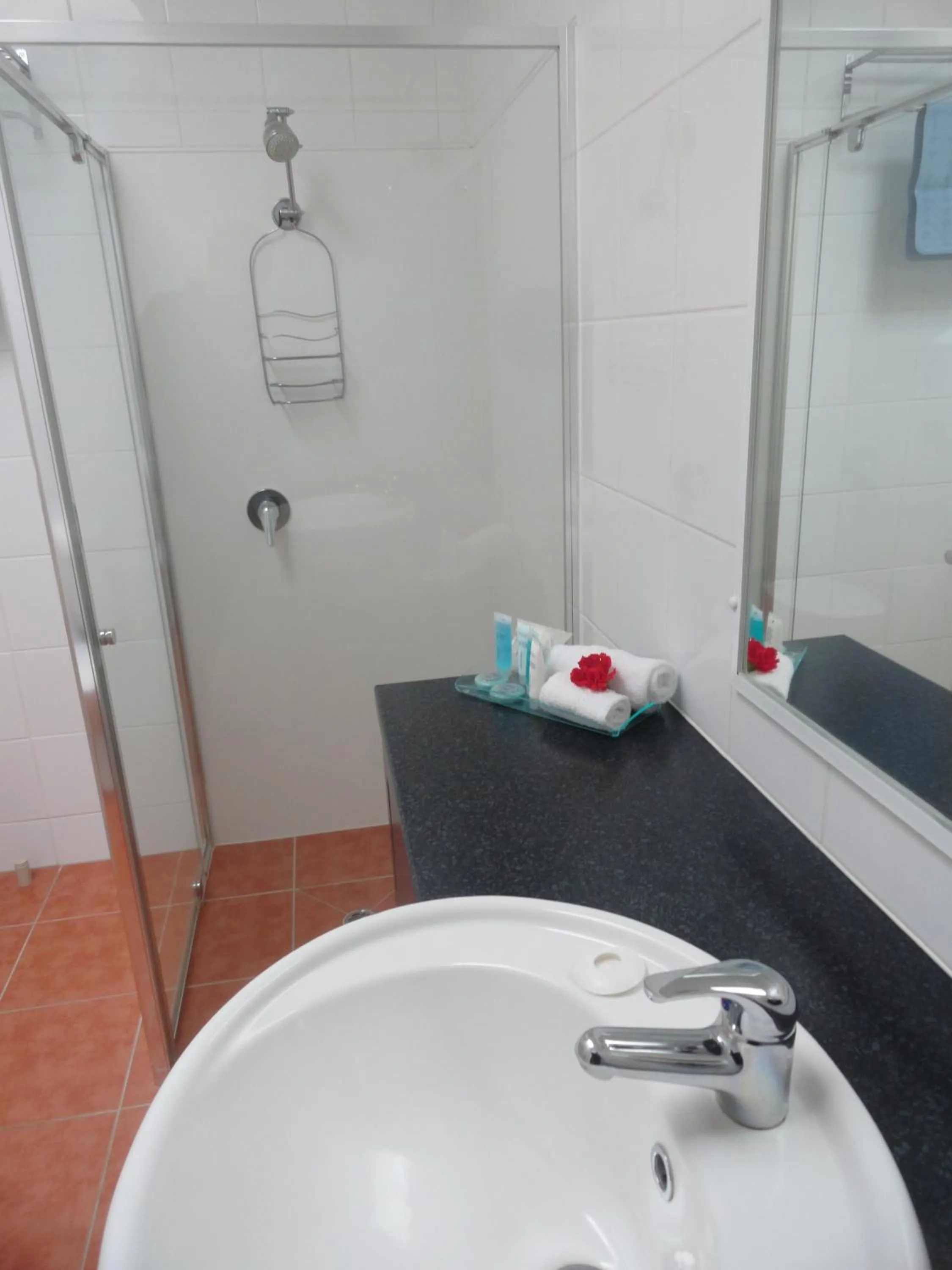 Shower in Victoria Lodge Motor Inn & Apartments