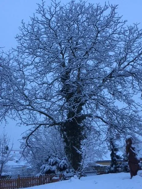 Ambiente Hotel Strehla