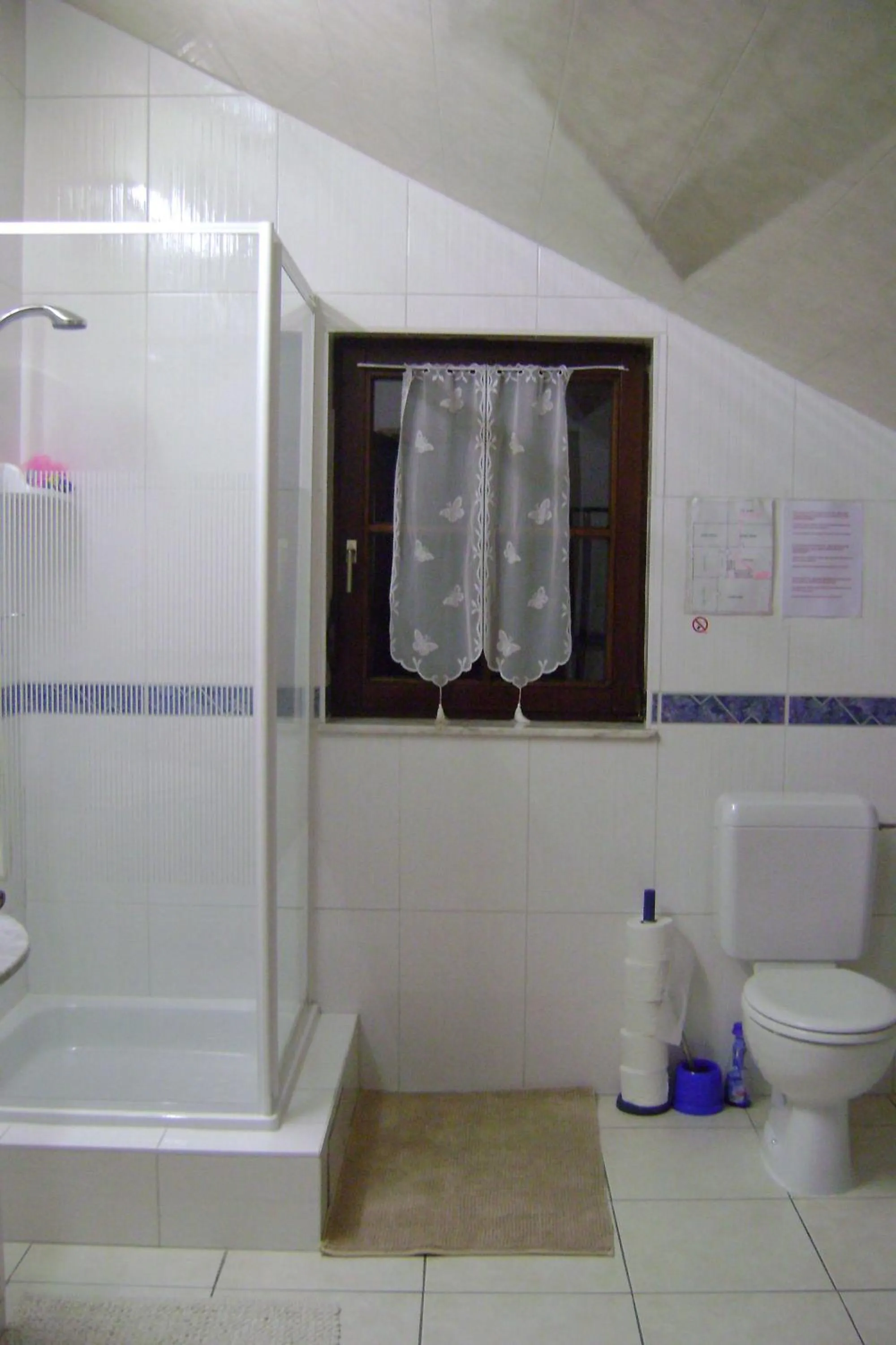 Shower in Le Castillon