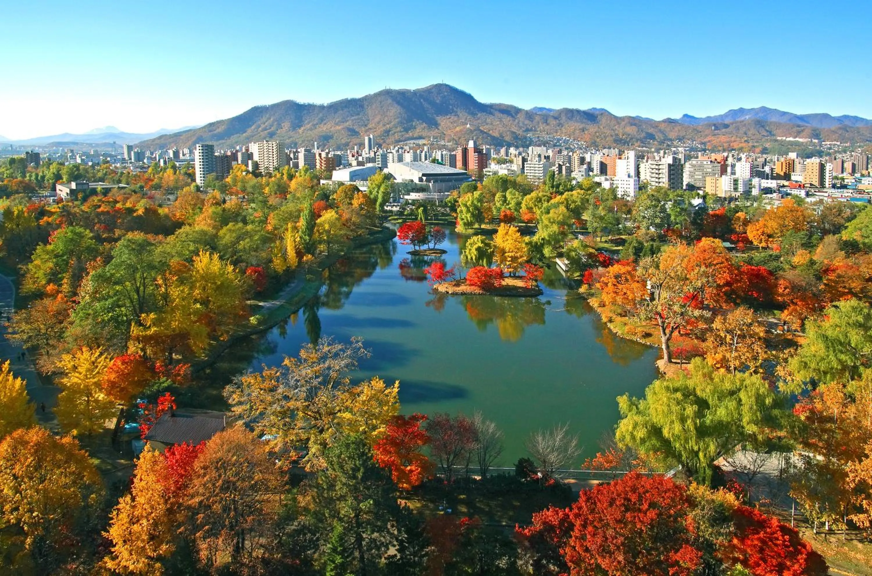 View (from property/room) in Sapporo Park Hotel