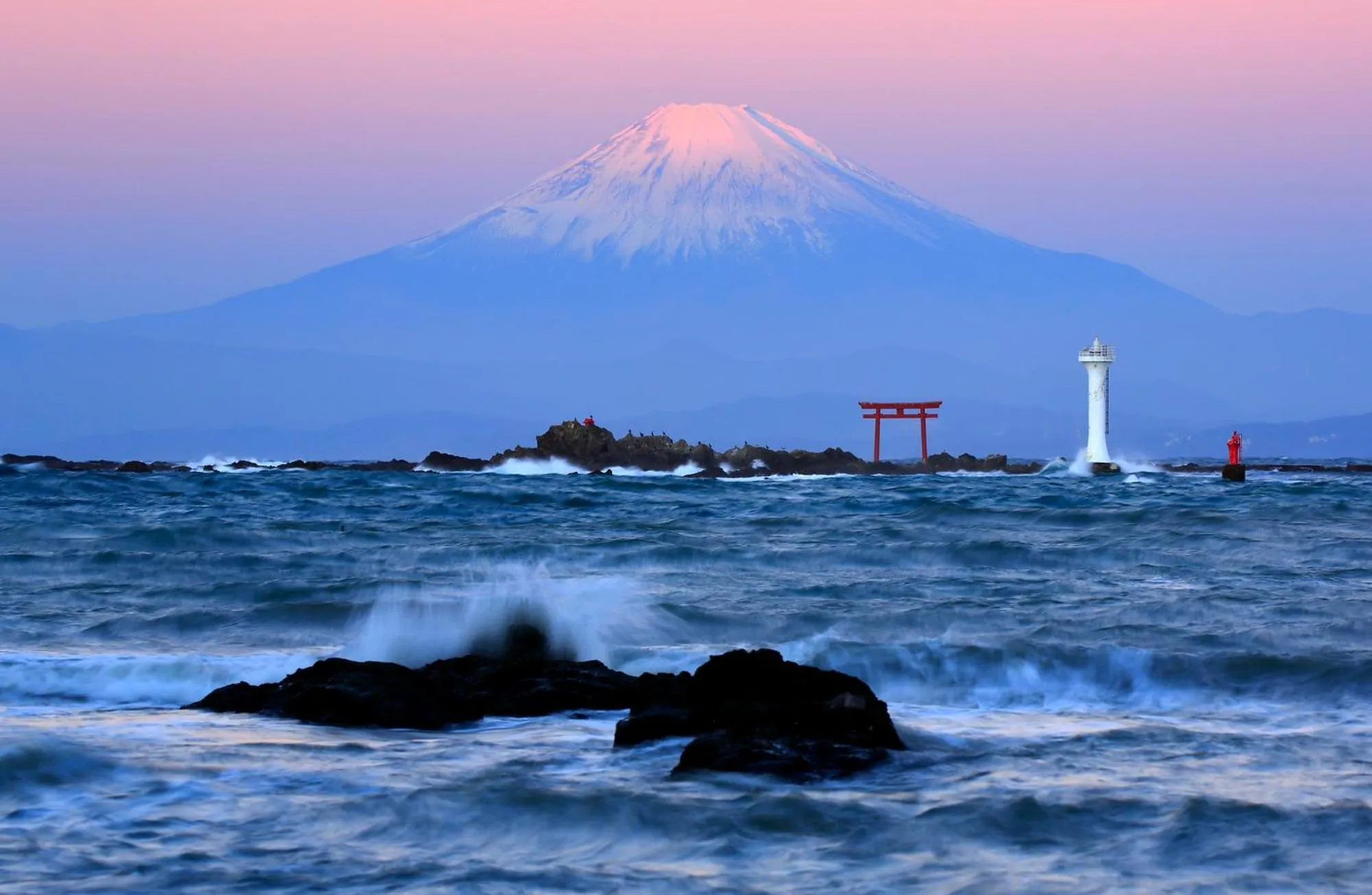 Spring in Scapes The Suite