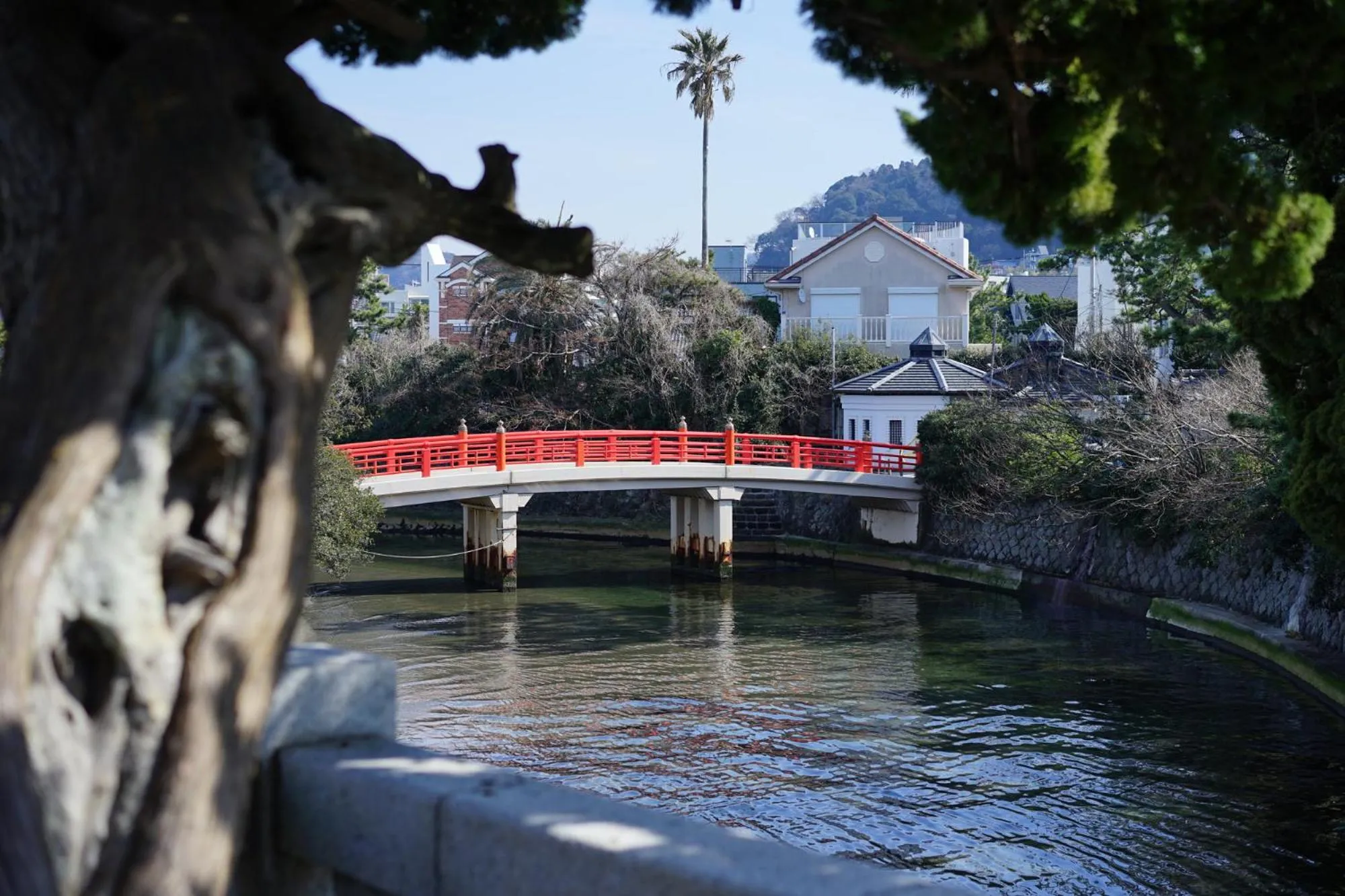 Spring in Scapes The Suite