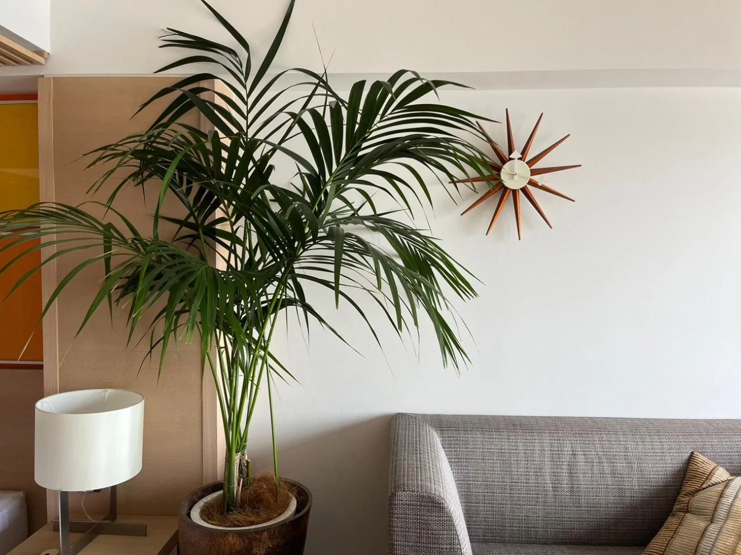 Living room in Scapes The Suite