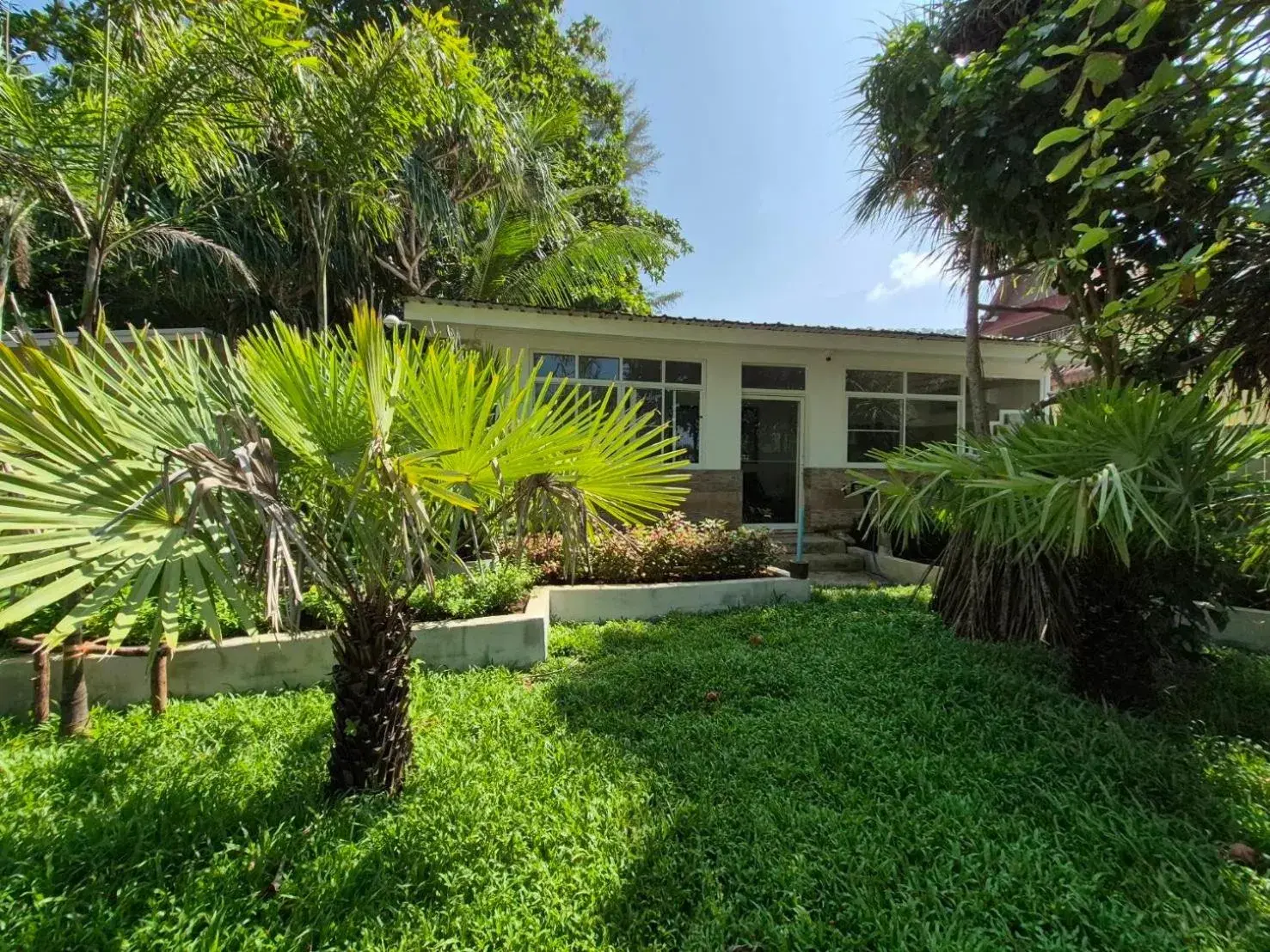 Garden view in Lanta Island Resort Garden view in Lanta Island Resort