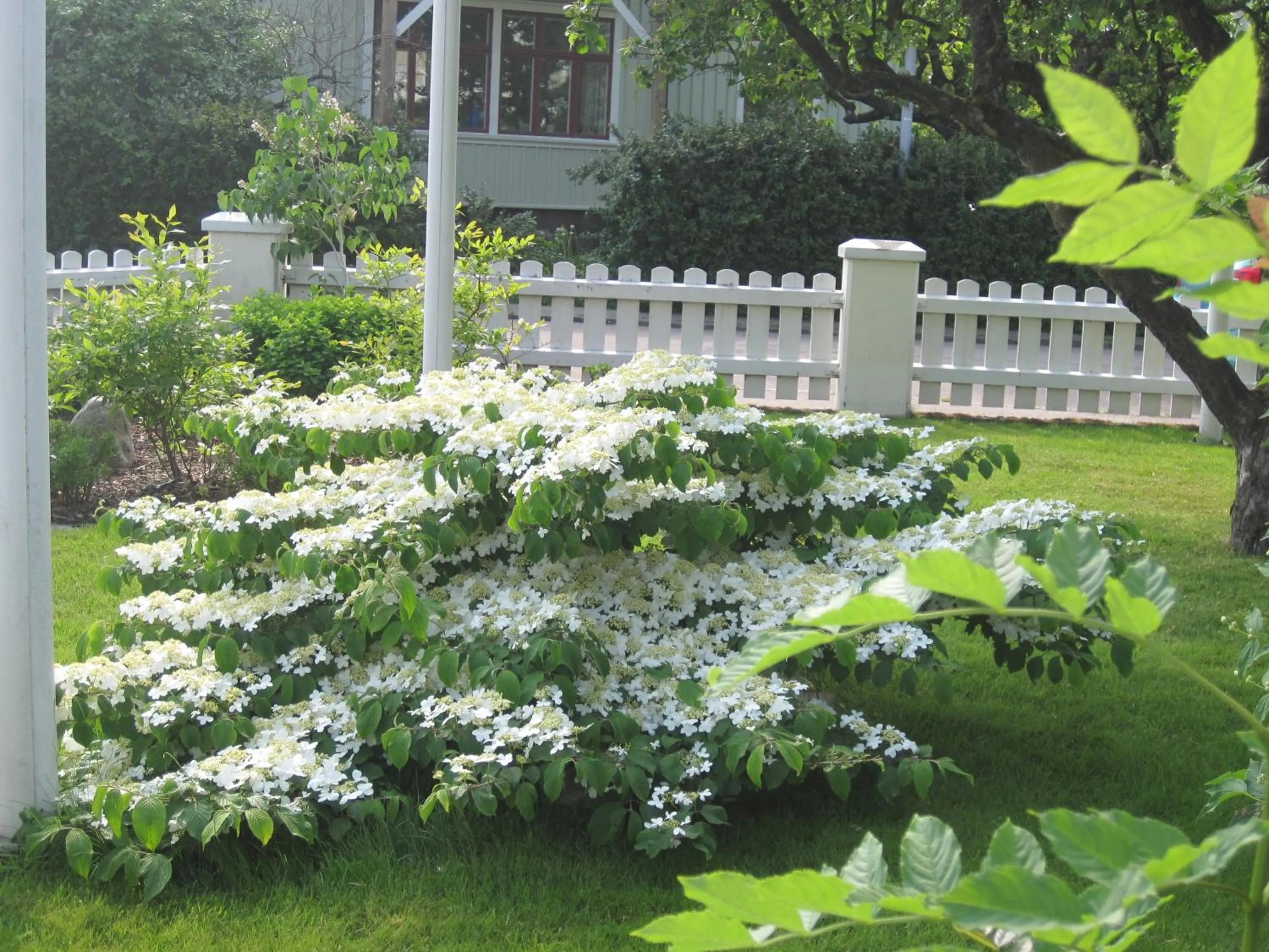 Garden in Nya Pallas Hotel