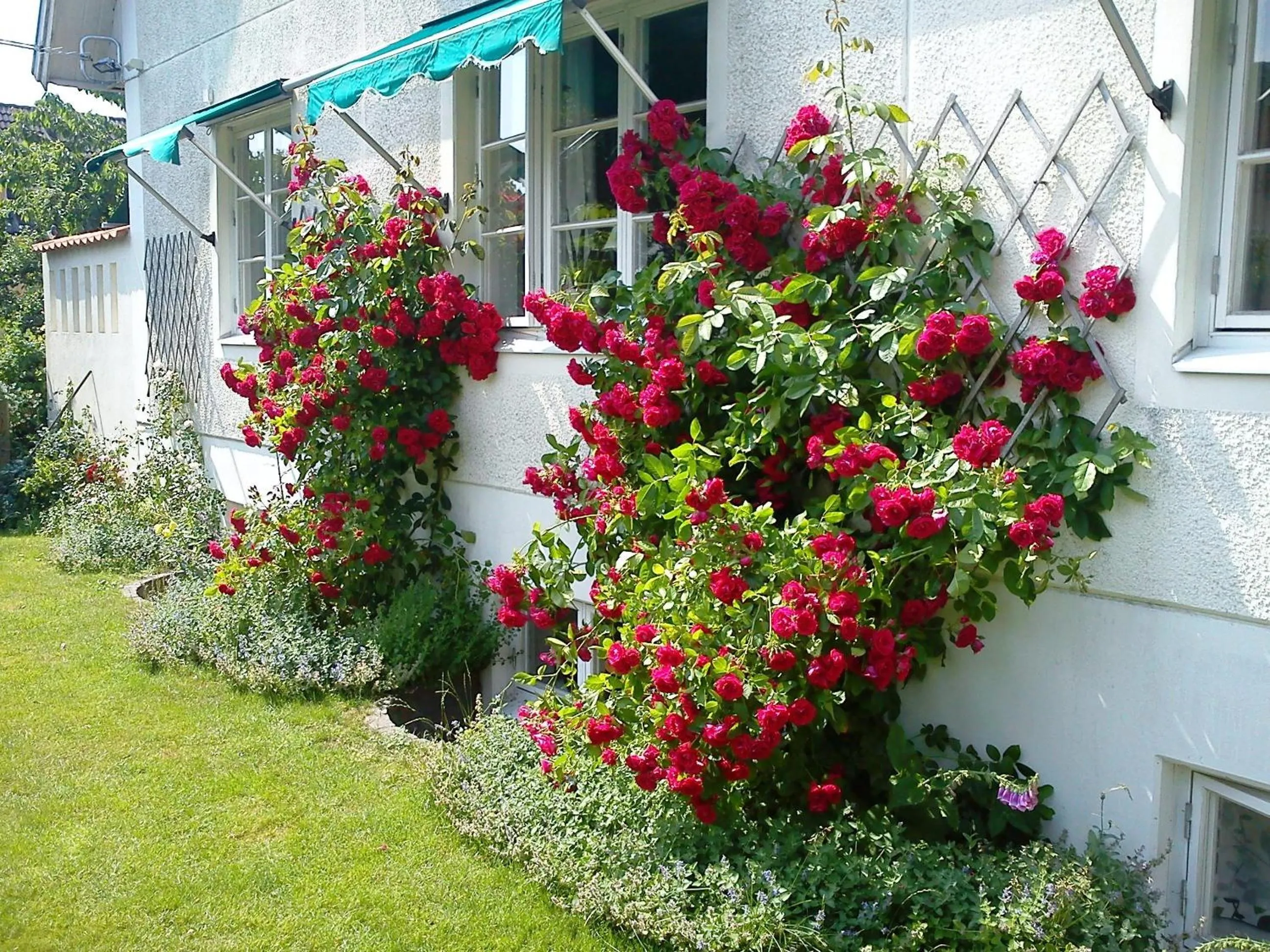 Facade/entrance in Nya Pallas Hotel