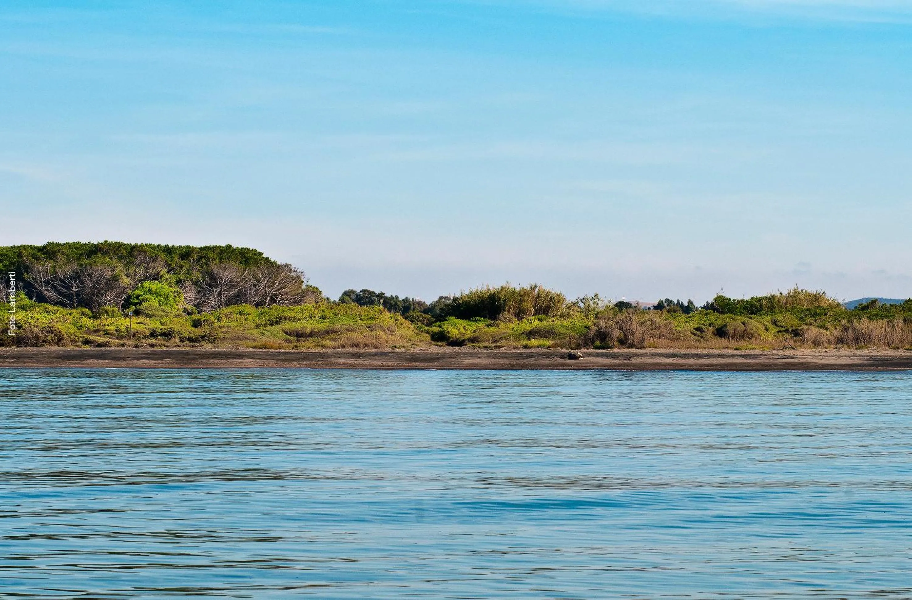 Beach in Podere Del Gesso