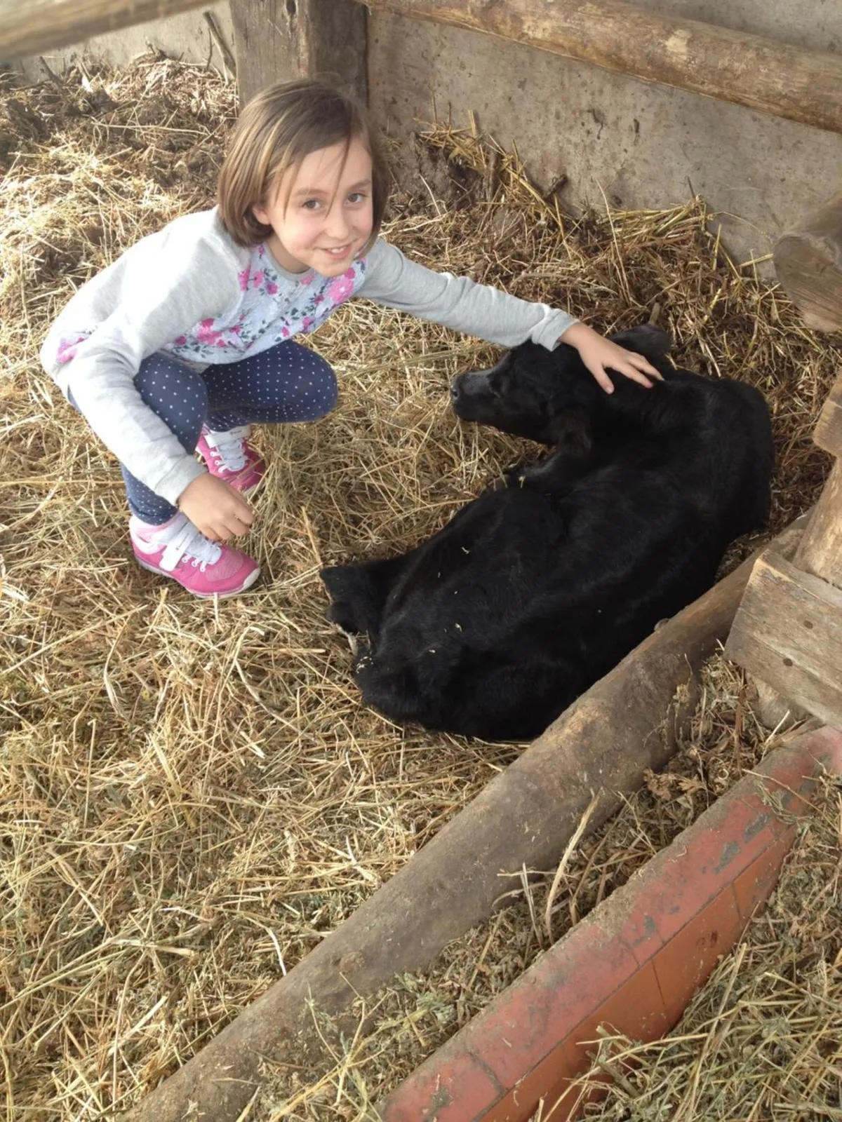 Pets in Podere Del Gesso