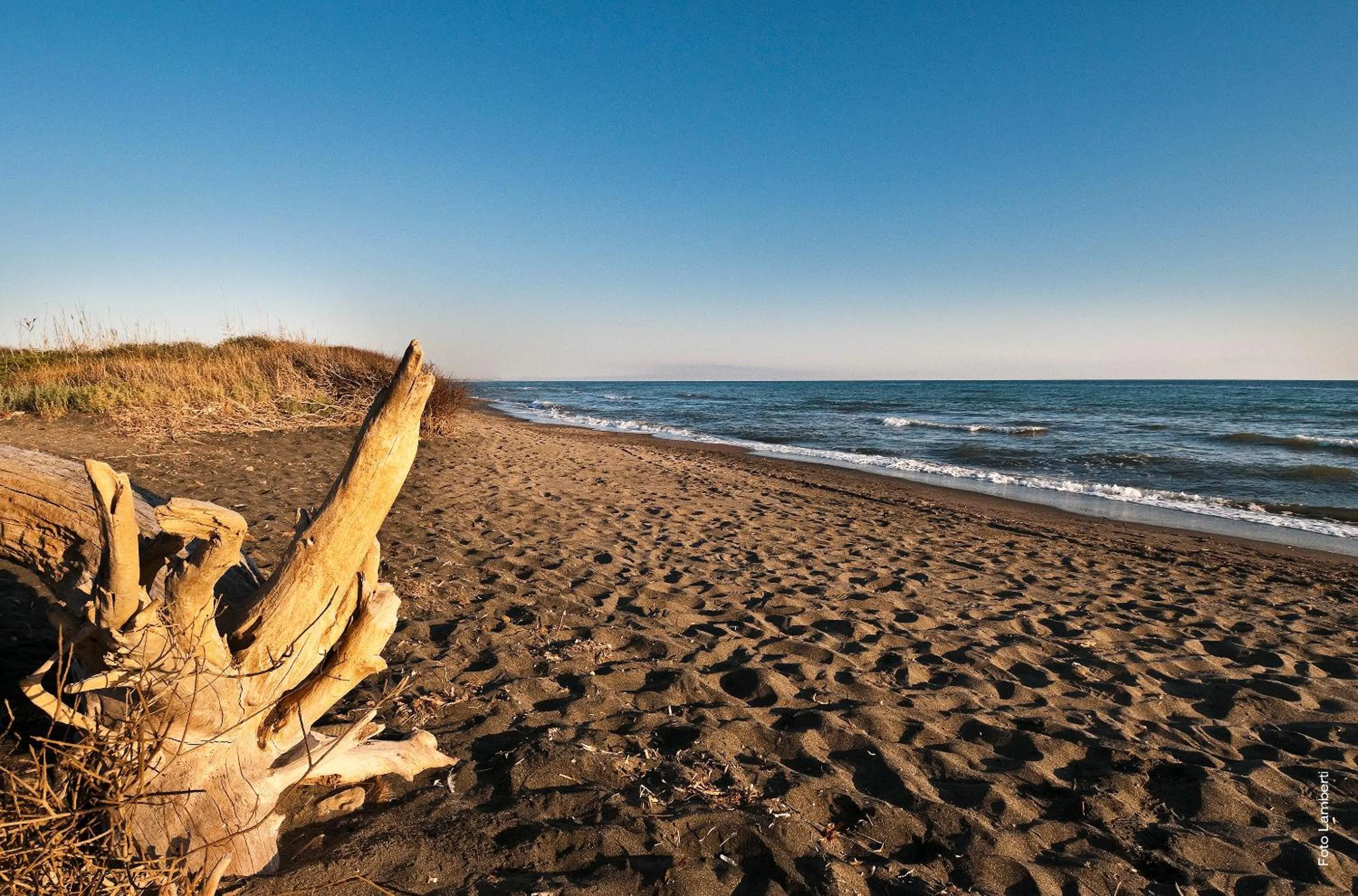 Beach in Podere Del Gesso