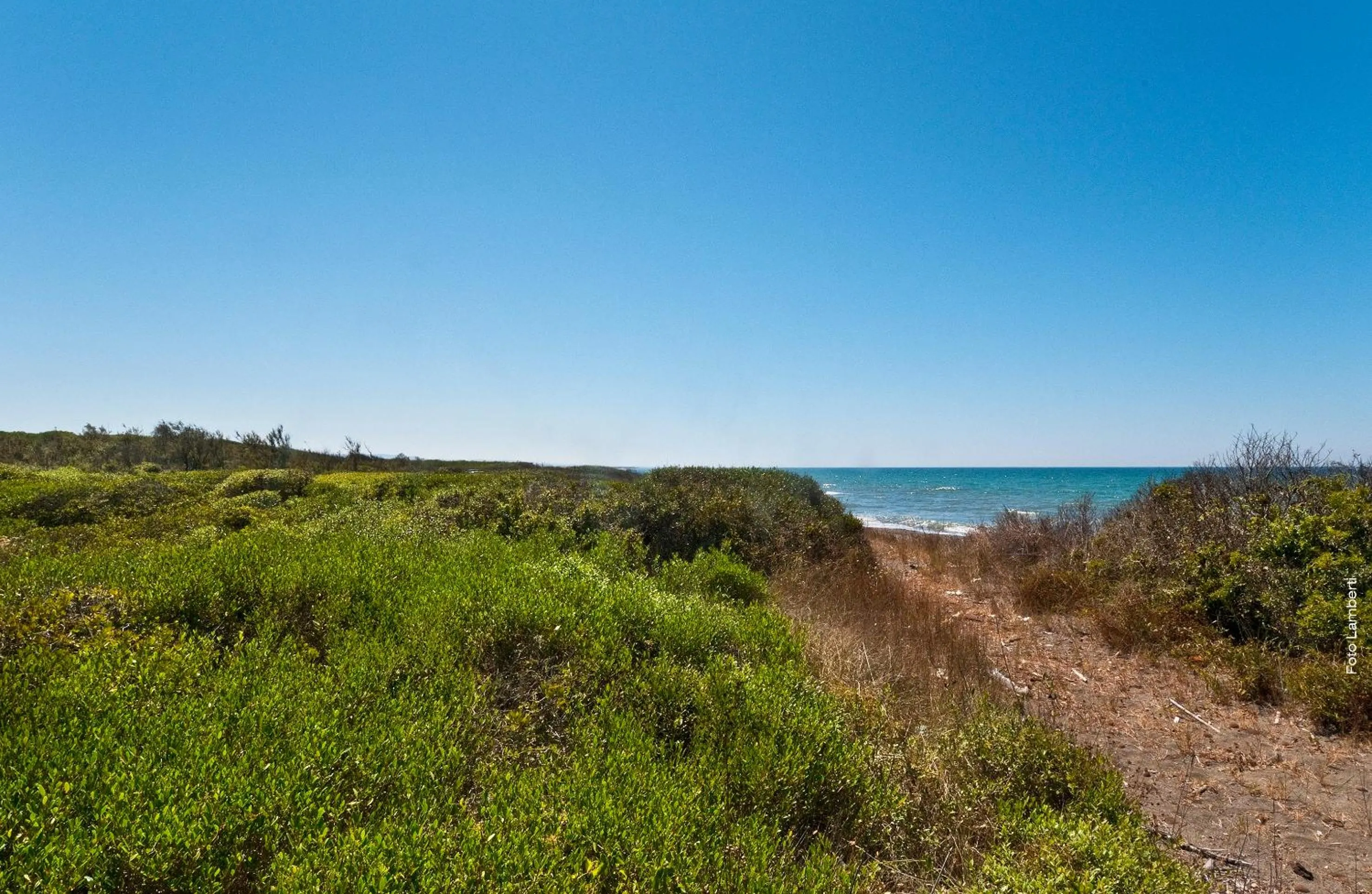 Beach in Podere Del Gesso