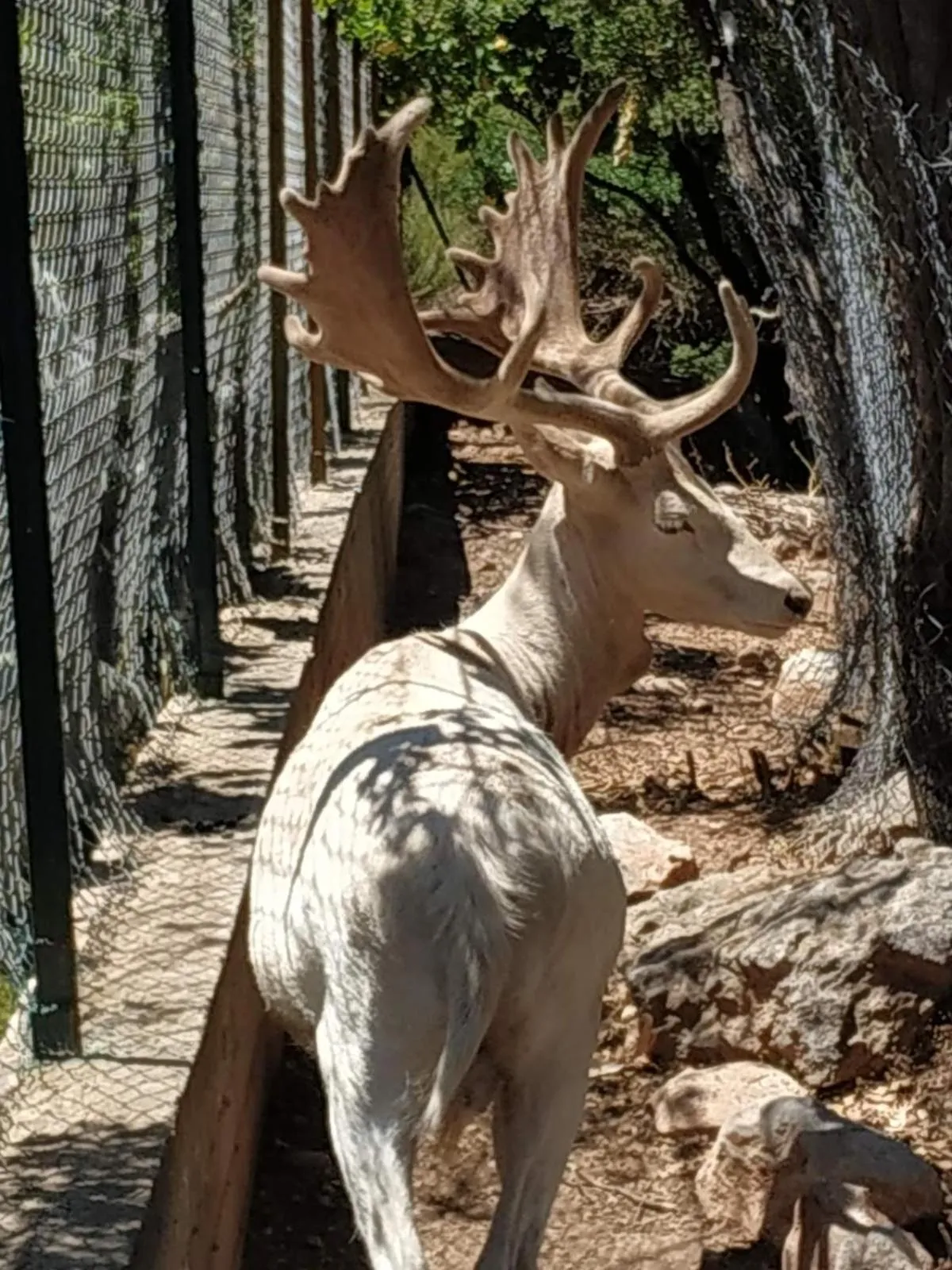 Natural landscape in Anthidon Nature Estate & Farm